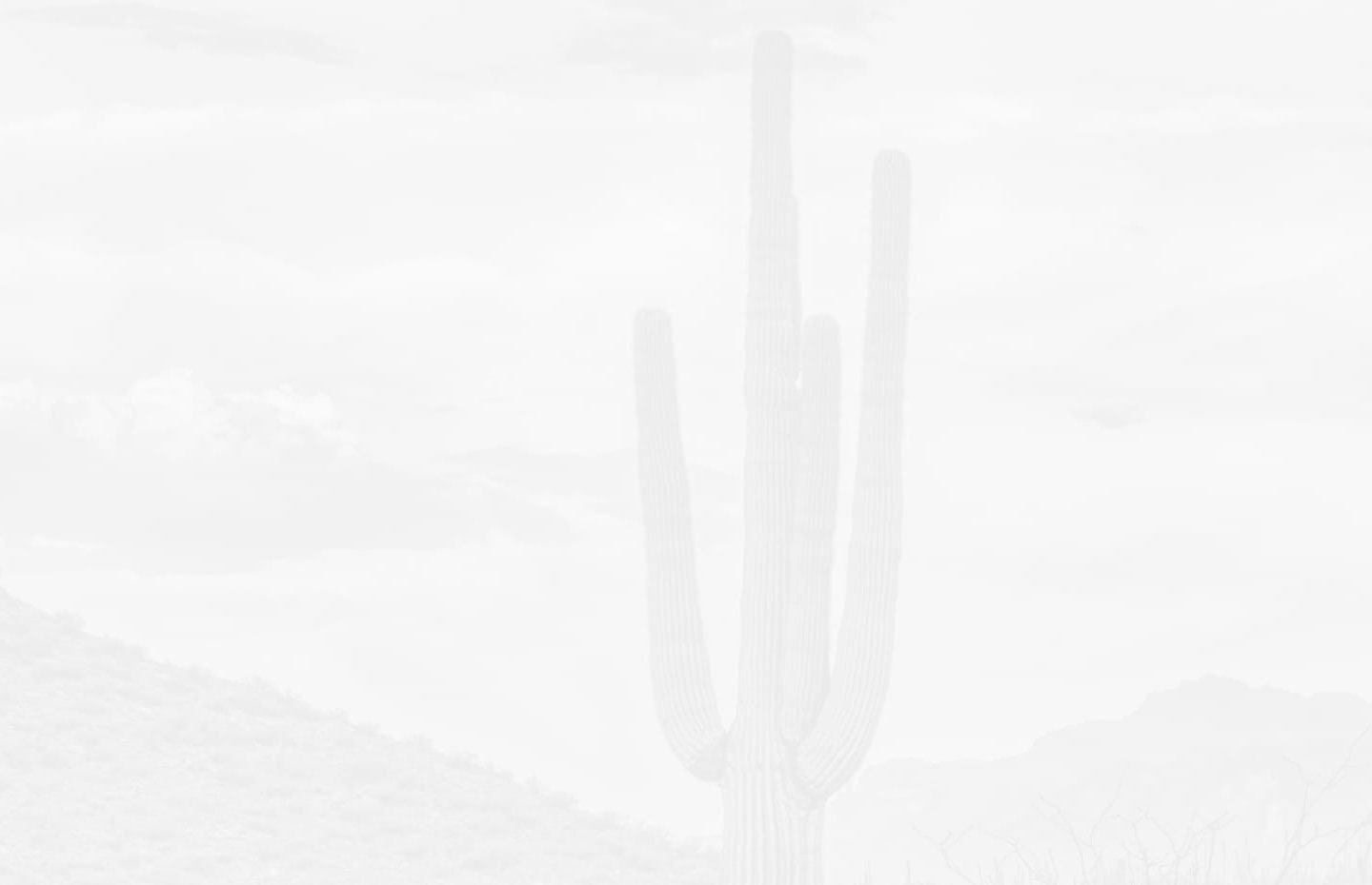 Arizona landscape