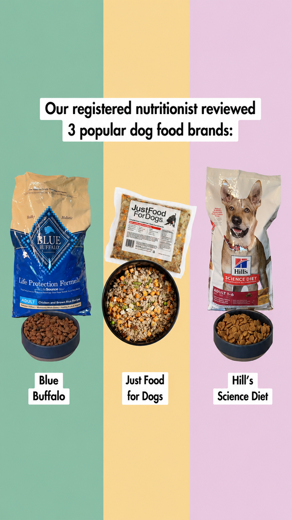 Comparison-driven creator content helped JustFoodForDogs scale efficiently, improve CPA by 15%, and expand beyond saturated audiences.