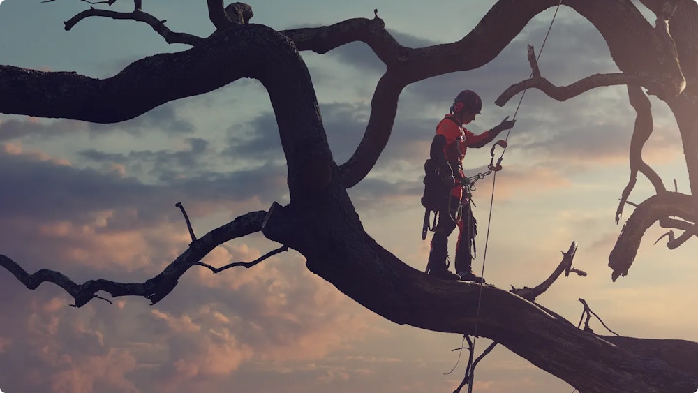 Man Climbing