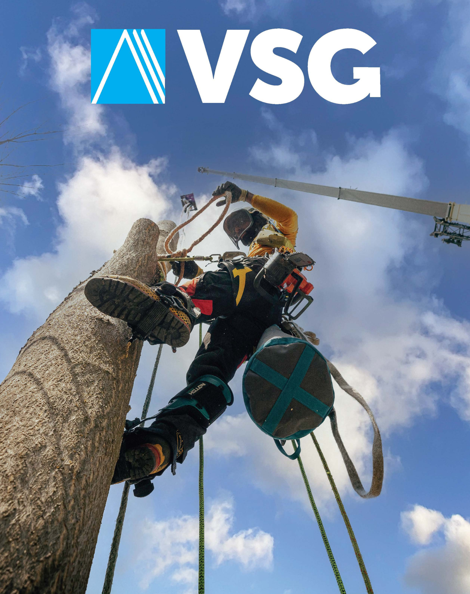 VSG Catalog Cover