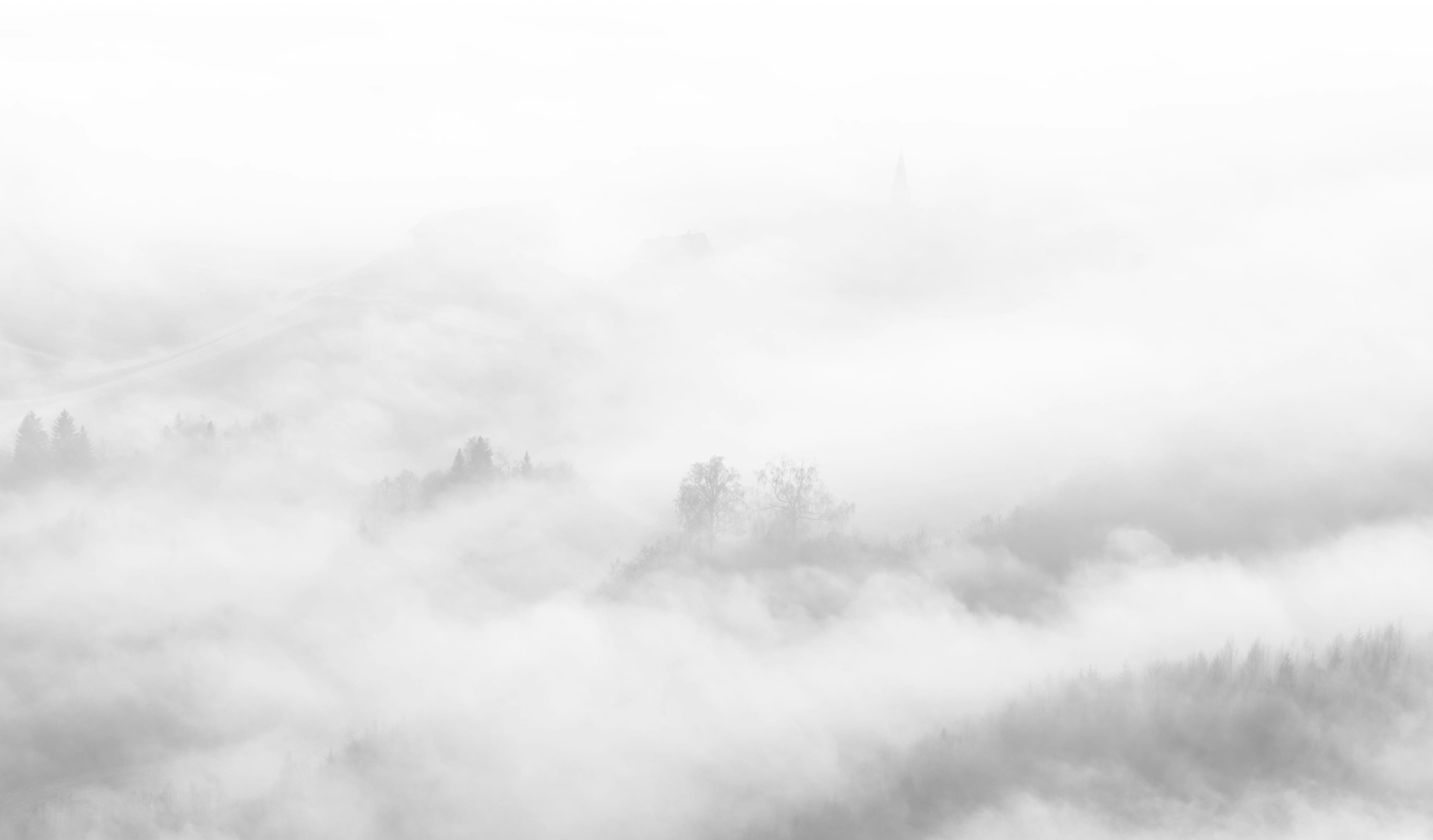 Image of fog covering trees.