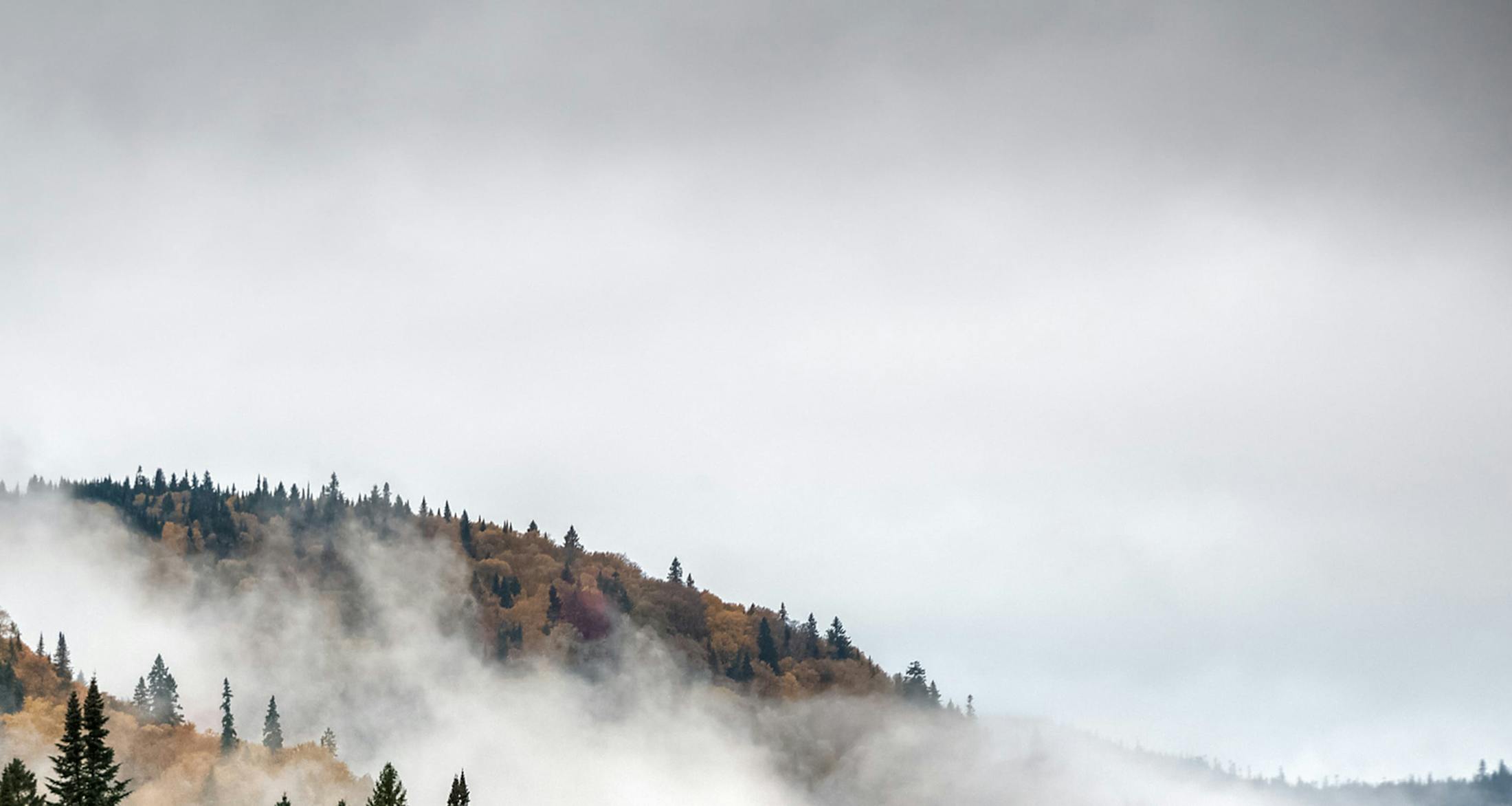 Foggy mountain in fall.