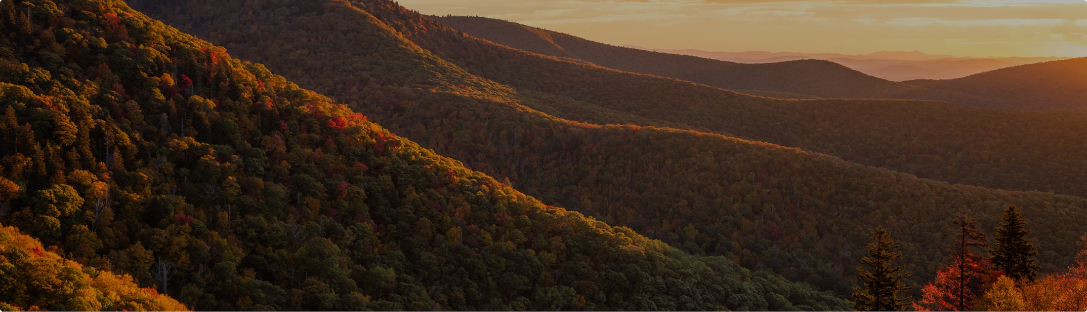 Aesthetic image of sunset on the green mountains.