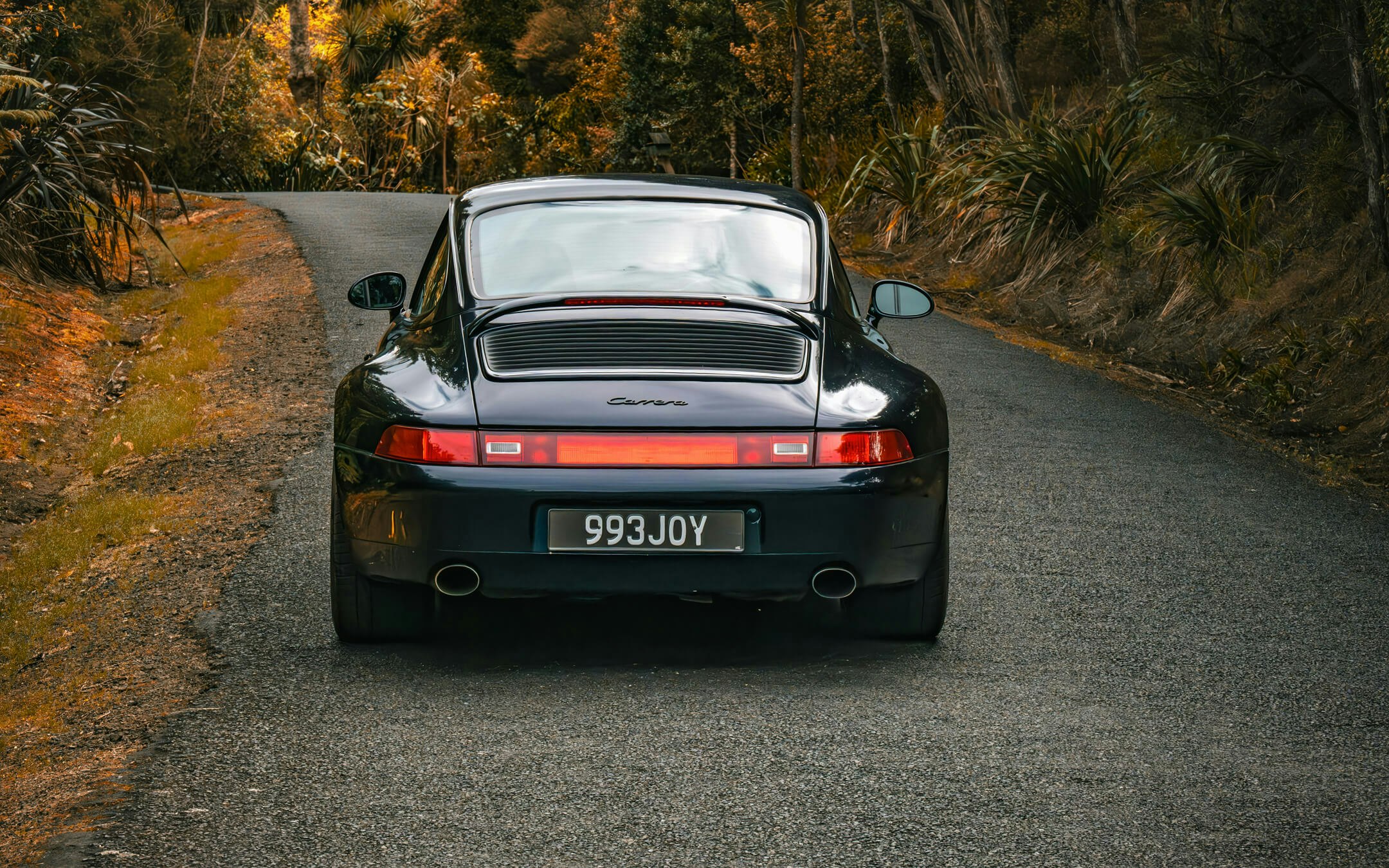 bumper