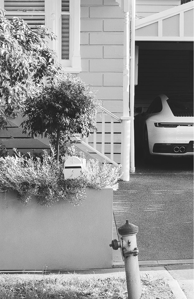 plant