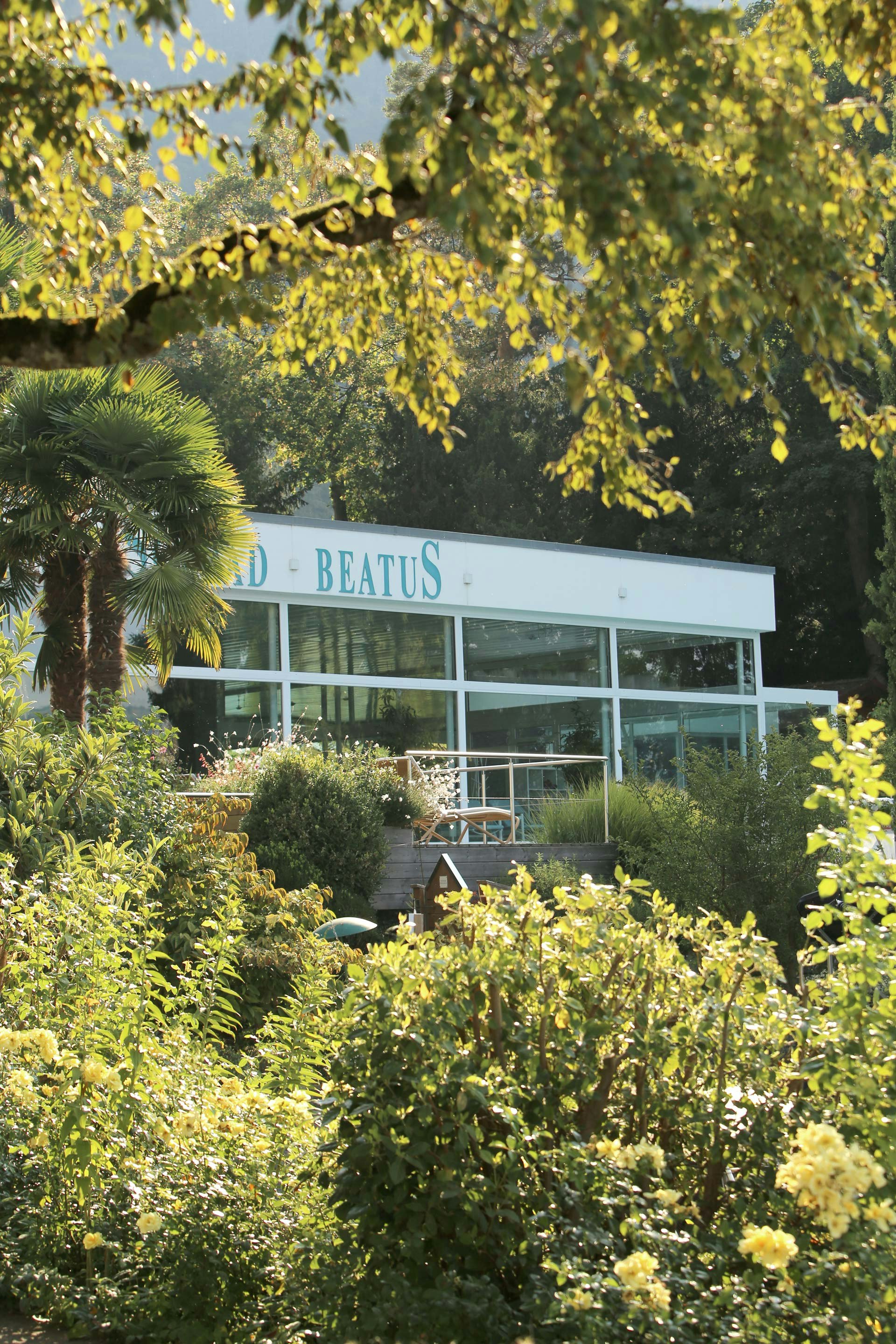 Le hall de natation de l'hôtel Beatus entouré de verdure