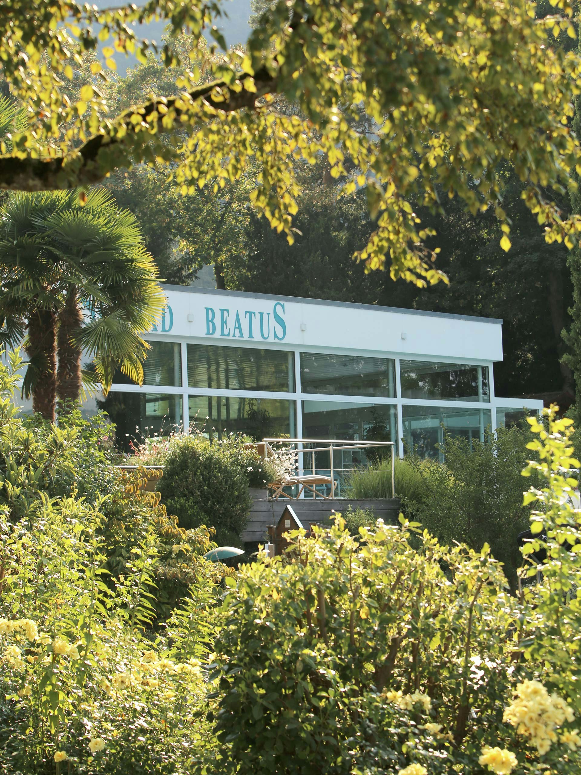 Indoor swimming pool at Hotel BEATUS surrounded by greenery Hotel Beatus indoor swimming pool surrounded by greenery