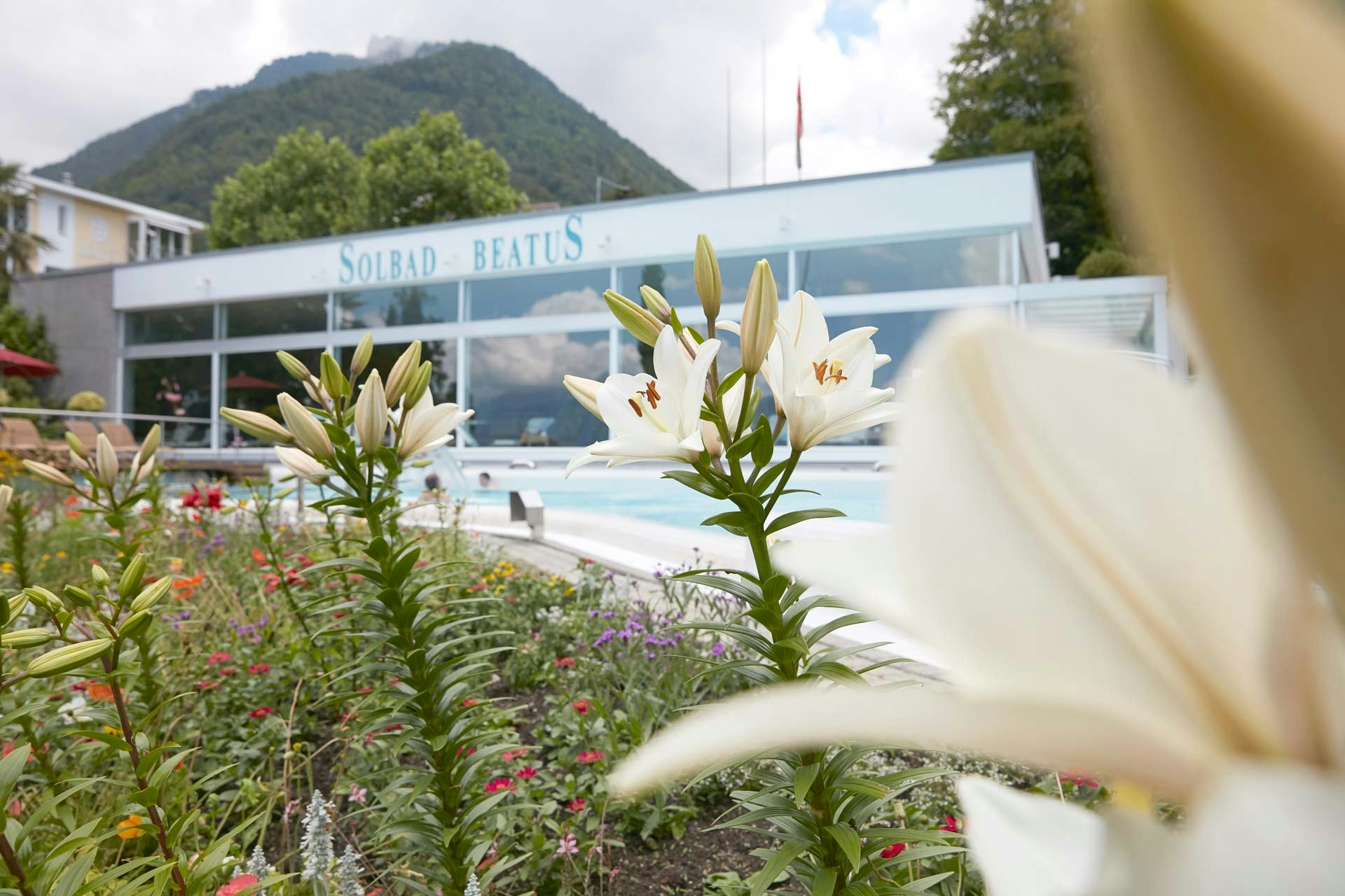 Lilien vor einem Schwimmbad und Hallenbad, dahinter ein Berg