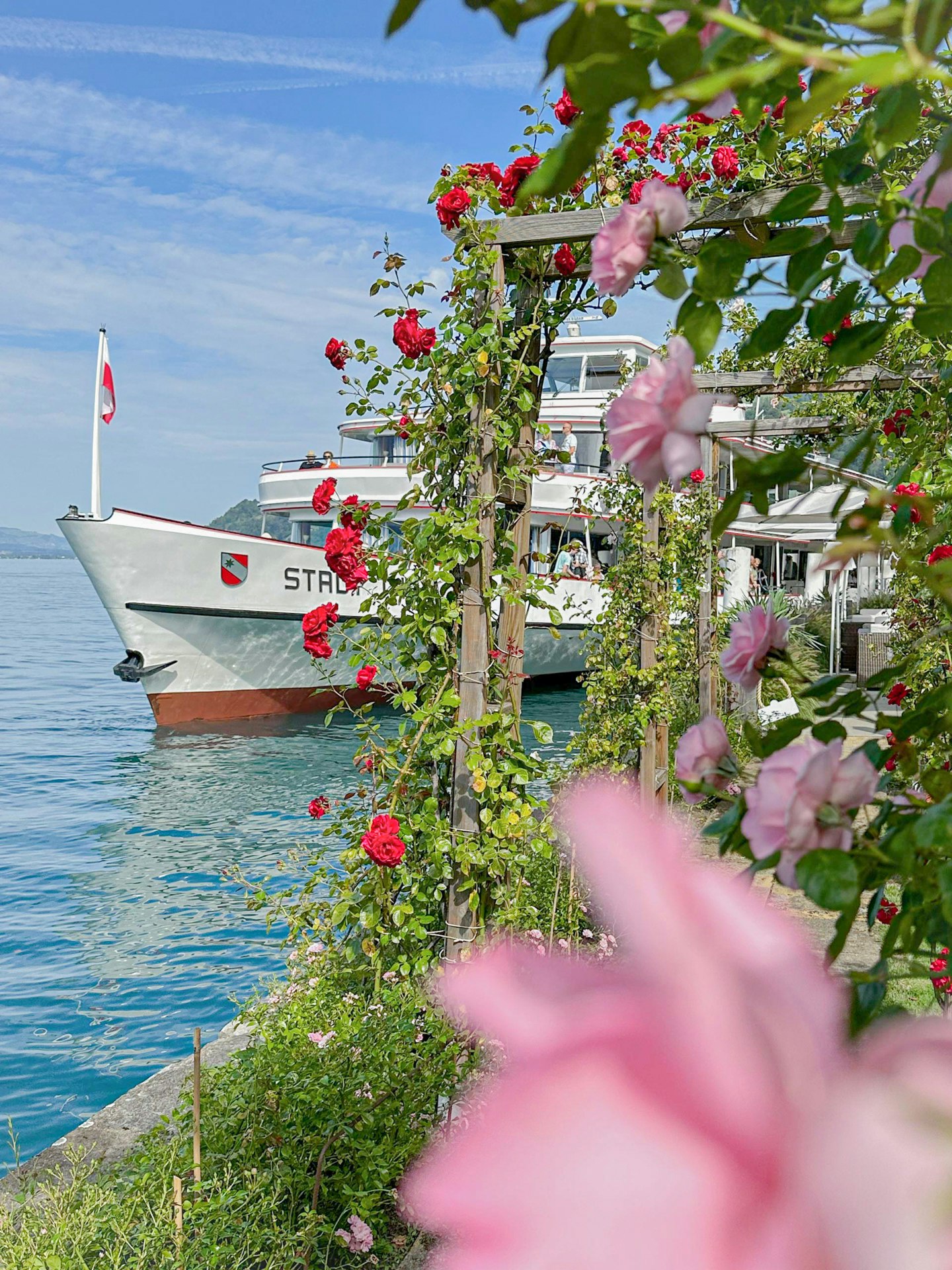 Rosen wachsen auf Bögen, dahinter der See mit einem Ausflugsschiff