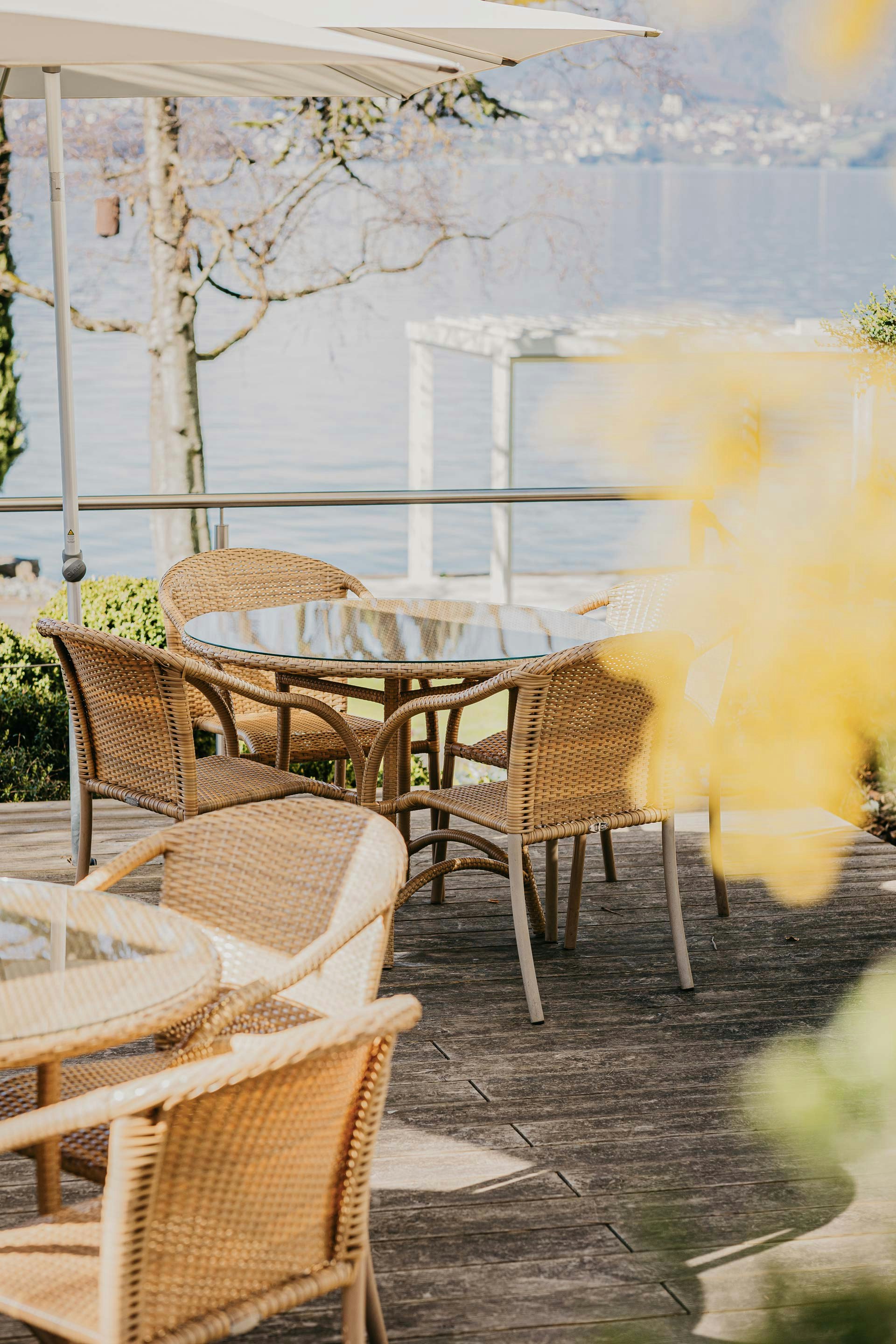 Terrasse en bois avec chaises tressées et tables en verre, parasols, palmiers, derrière le lac