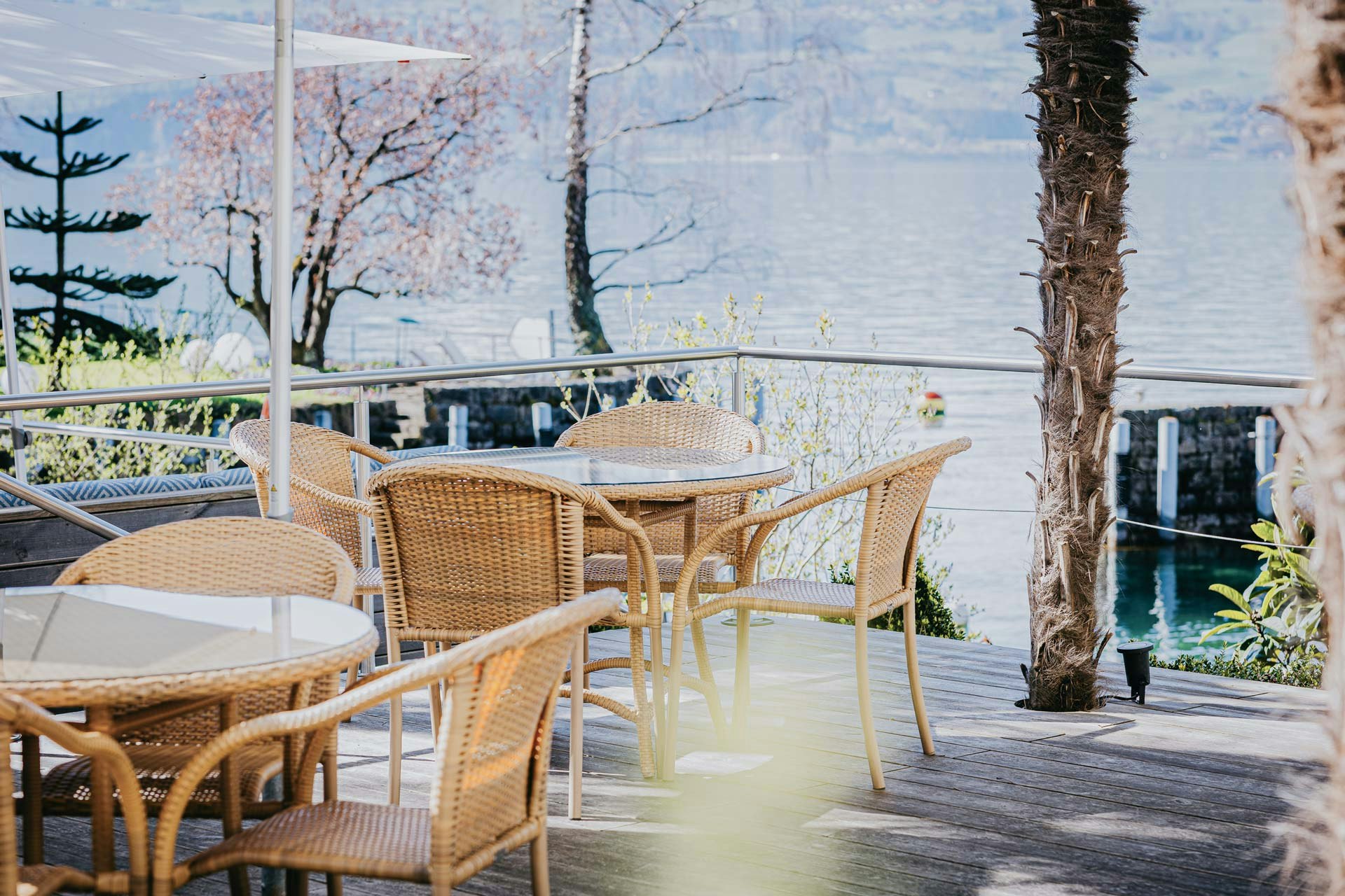 Terrasse en bois avec chaises tressées et tables en verre, parasols, palmiers