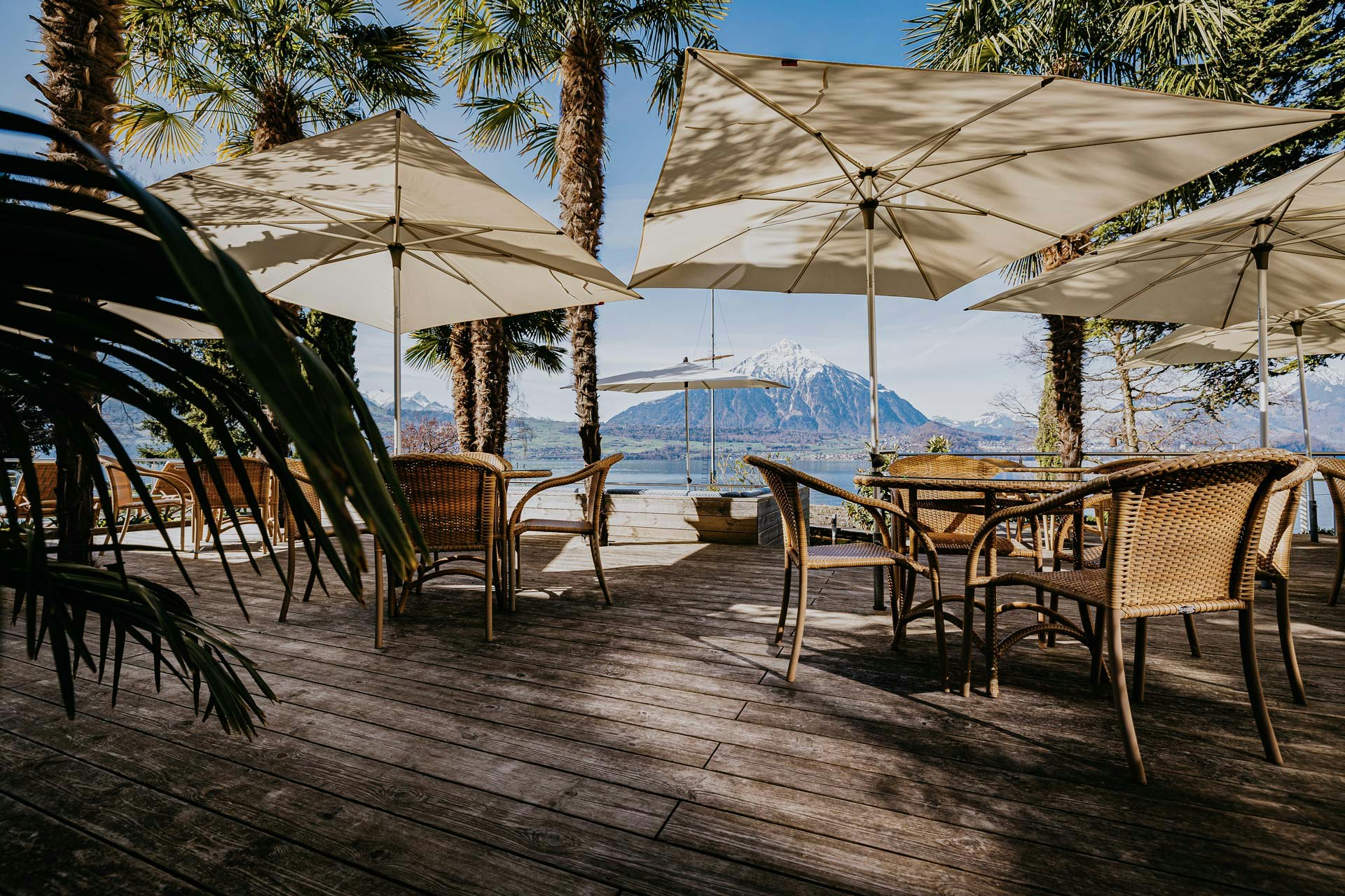 Terrasse en bois avec chaises tressées et tables en verre, parasols, palmiers