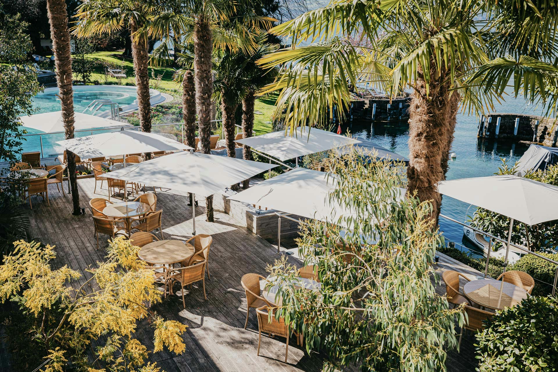 Terrasse en bois avec chaises tressées et tables en verre, parasols, palmiers