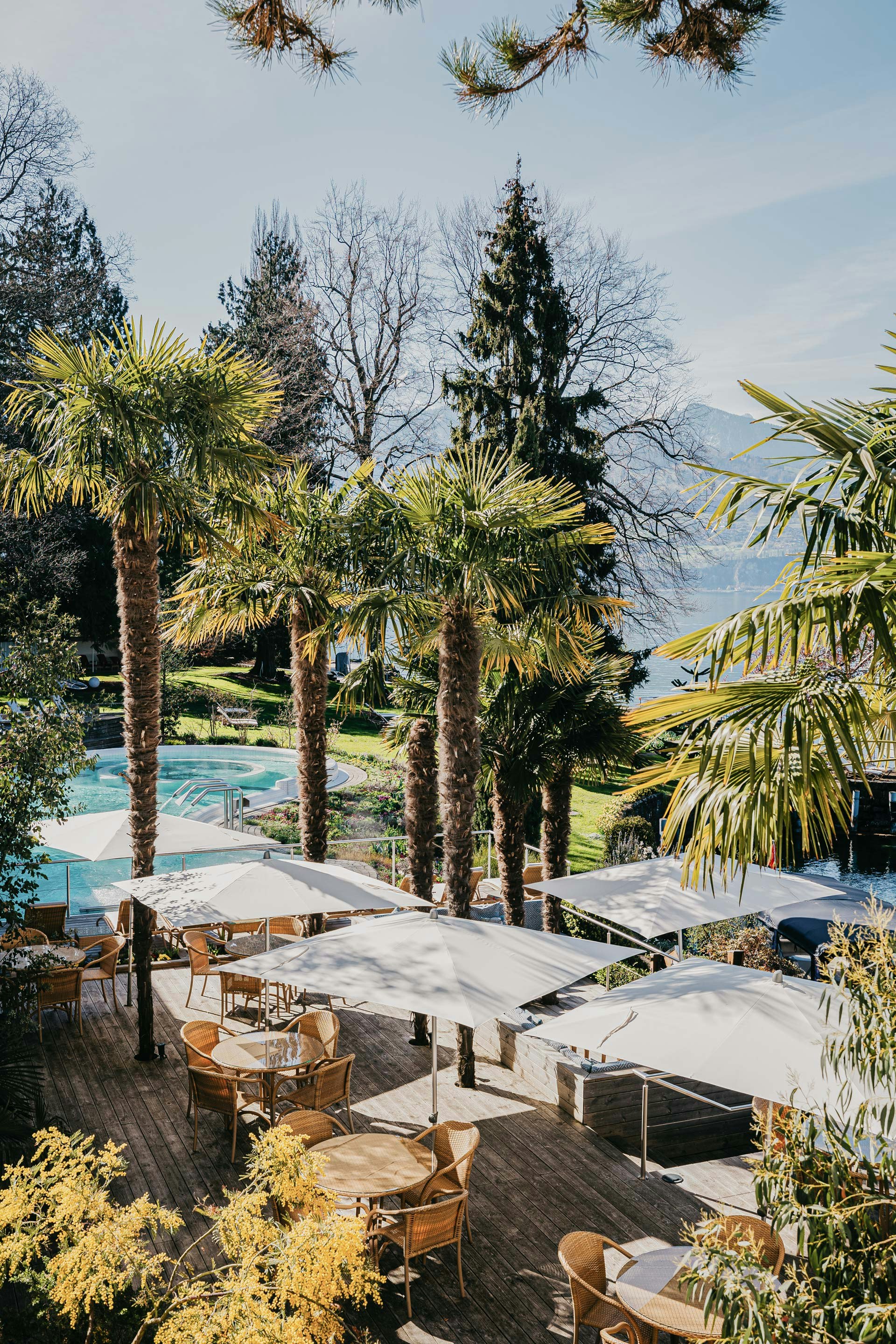 Holzterrasse mit geflochtenen Stühlen und Glastischen, Sonnenschirme, Palmen, dahinter ein Schwimmbad