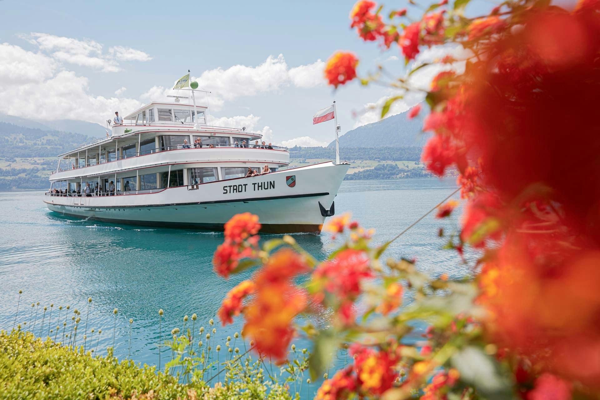 Ausflugsschiff am Thunersee, davor unscharf orange Blumen