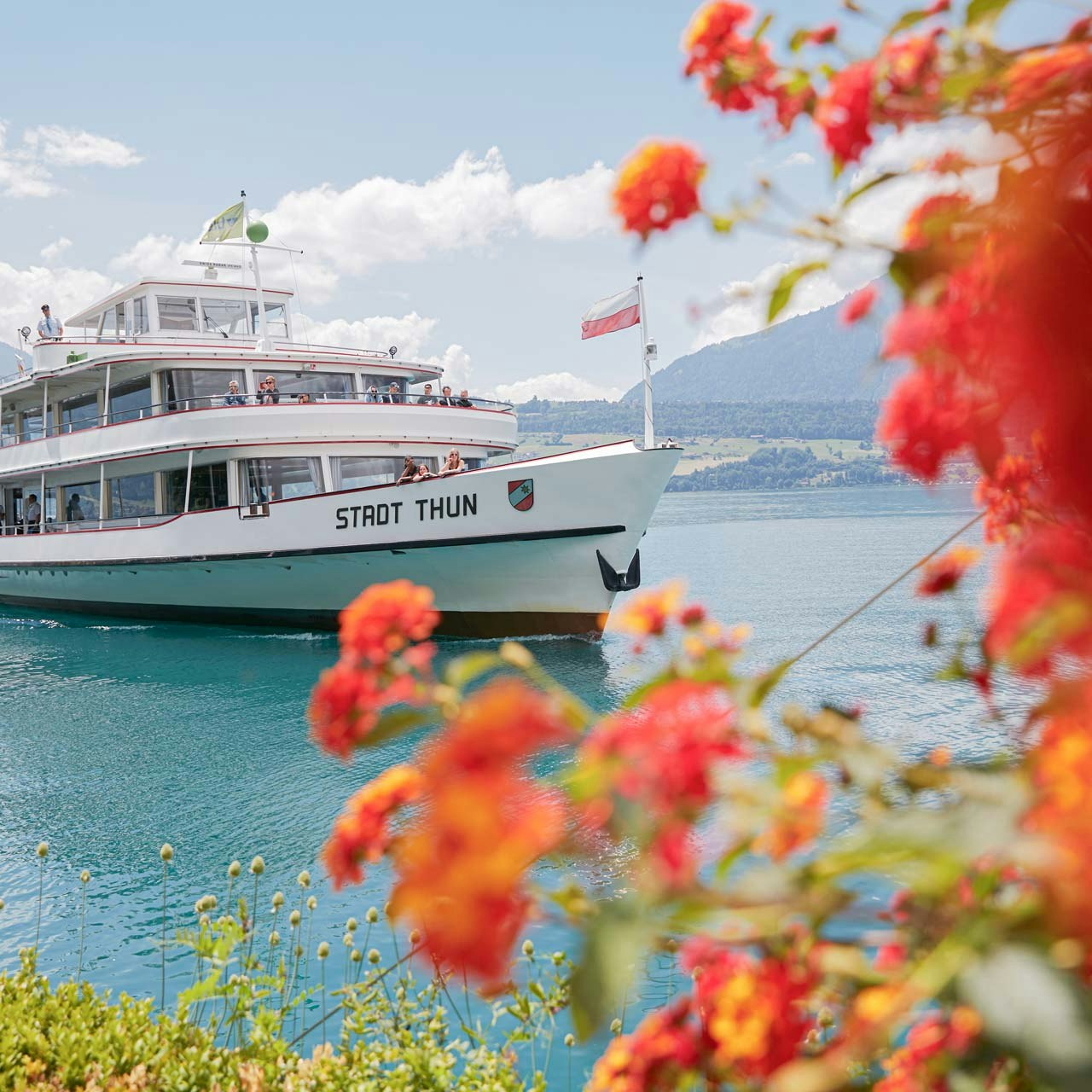 Bateau d'excursion sur le lac de Thoune Bateau d'excursion sur le lac de Thoune, devant fleurs orange floues
