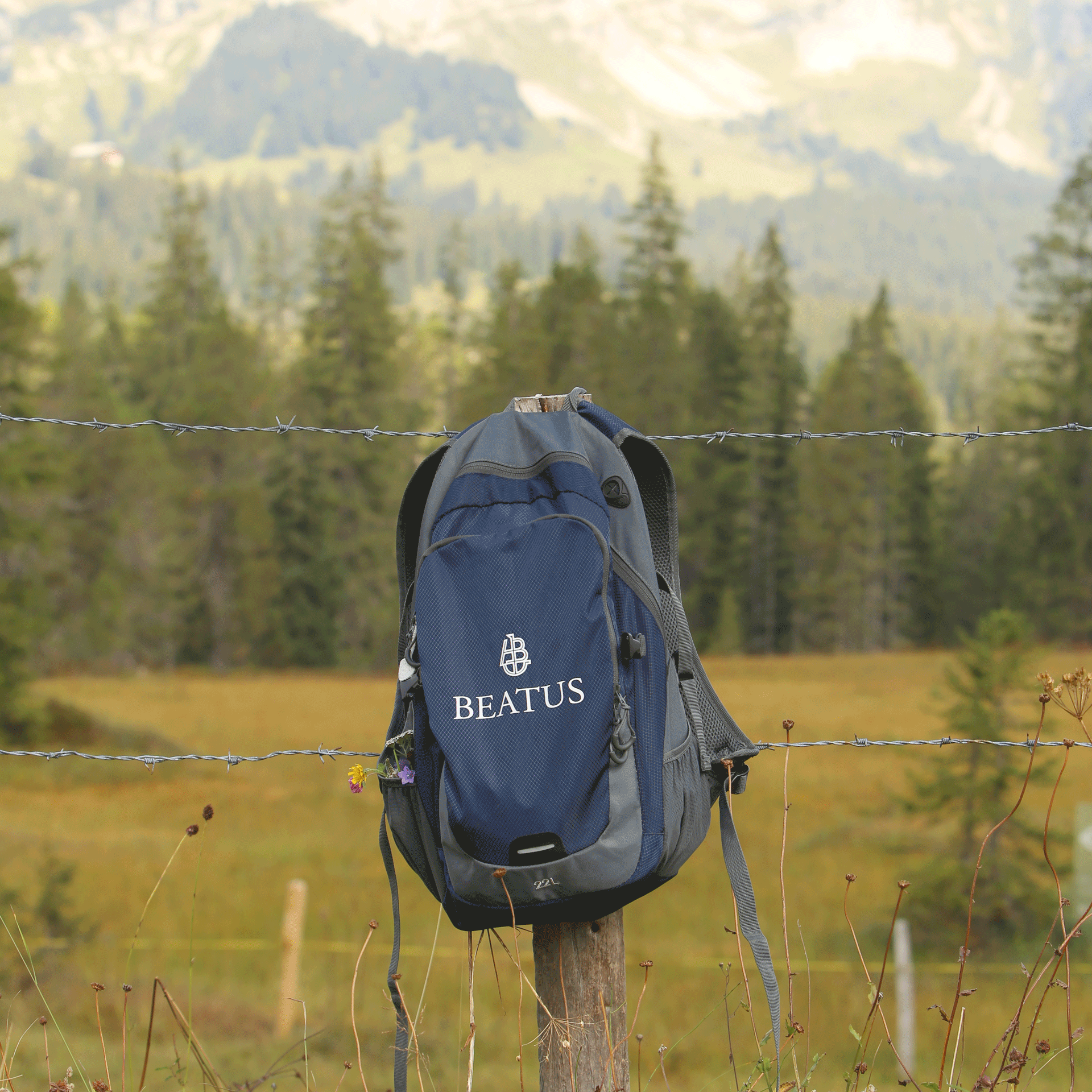 Beatus rucksack Backpack hanging on fence, behind it mountain landscape