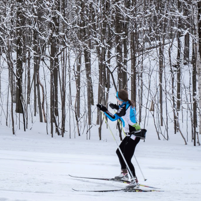 Cross-country skiing Woman on cross-country skis in a wooded area
