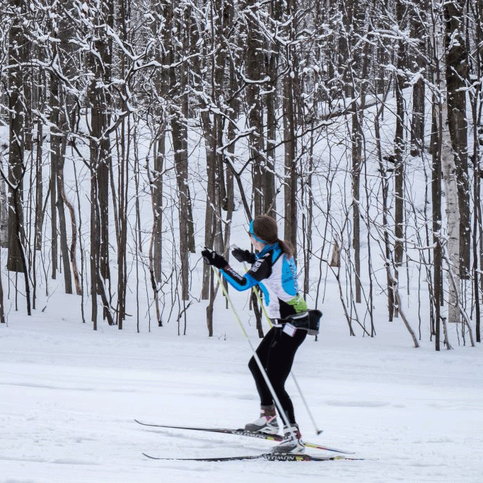 Ski de fond Femme à ski de fond dans une forêt