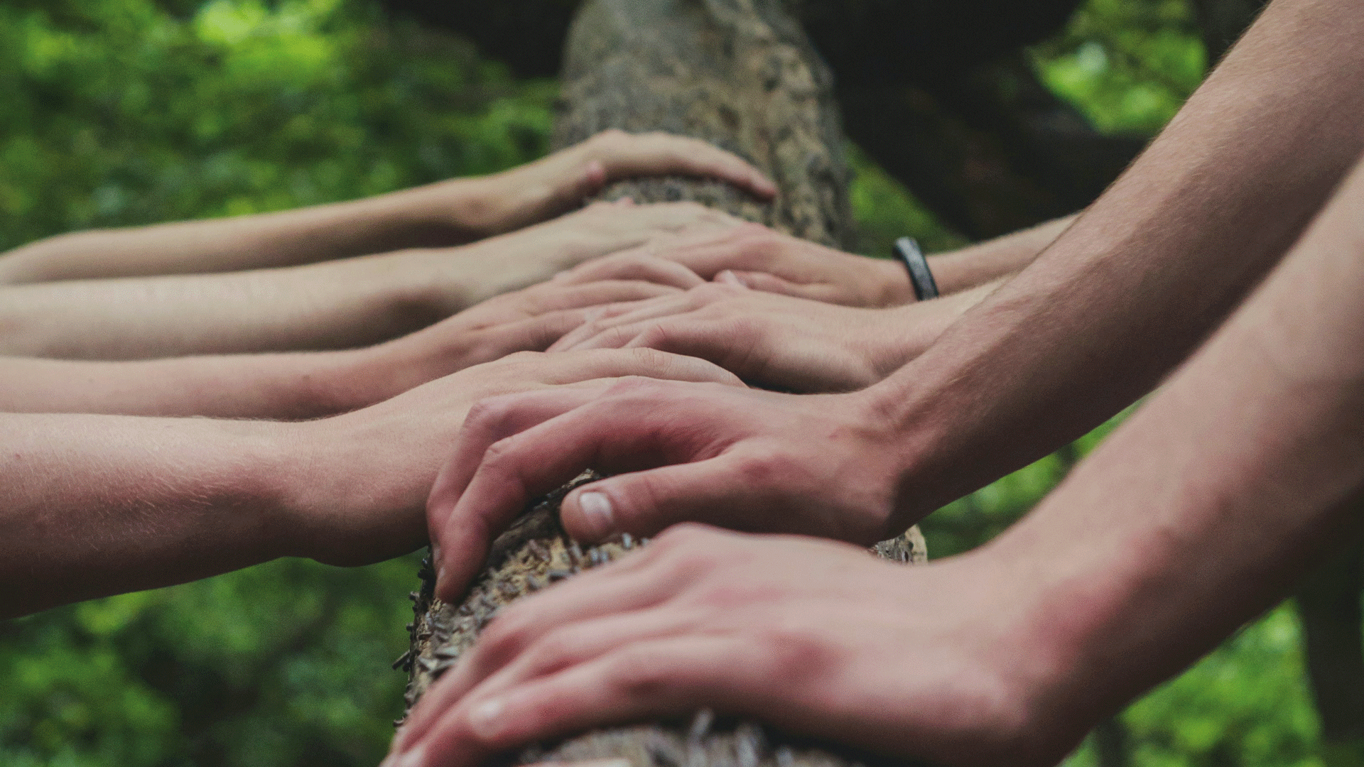 Reportage sur le deuil Un arbre vu d'en bas, des gens posent une main dessus