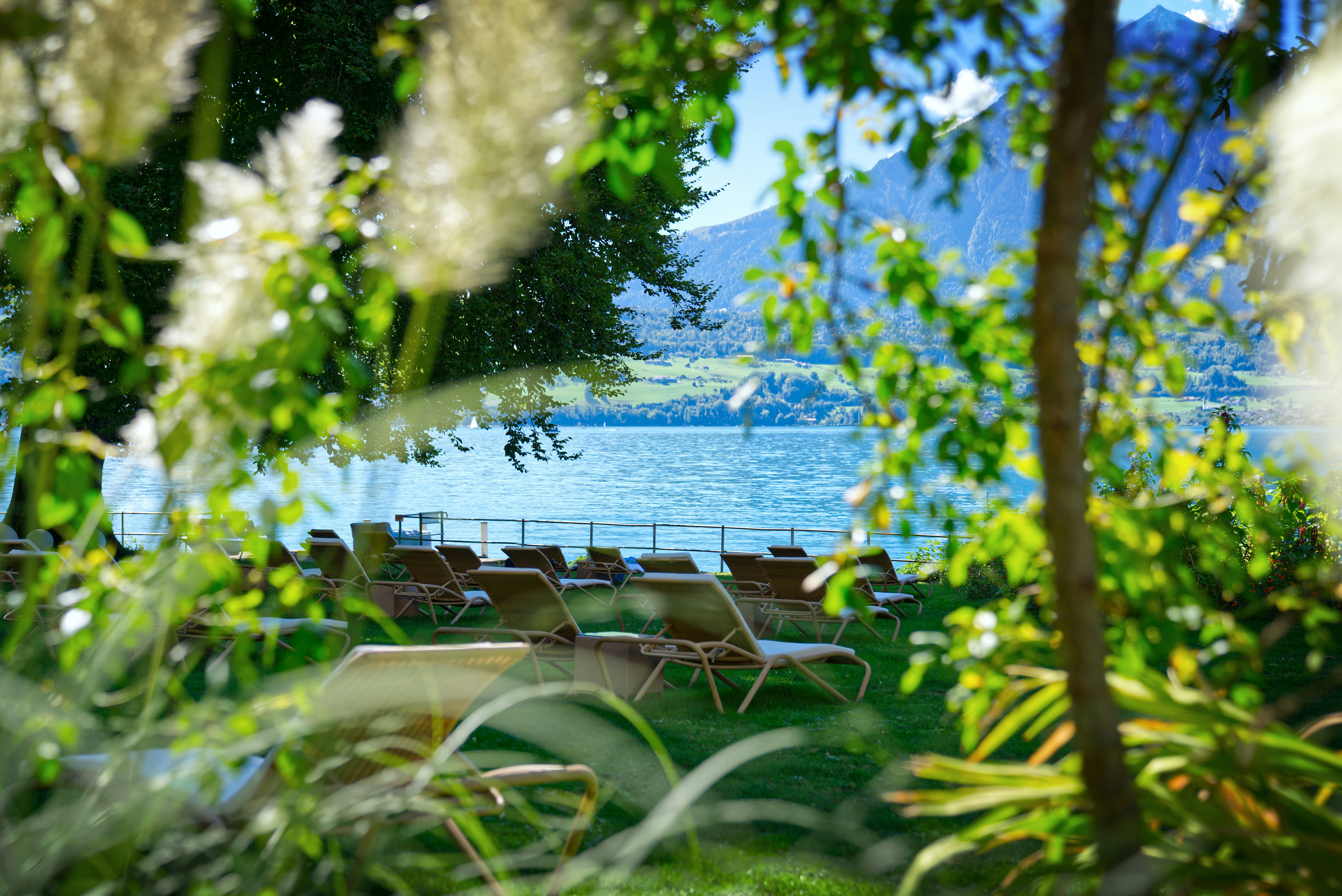 Parc de l'hôtel avec chaises longues et arbustes