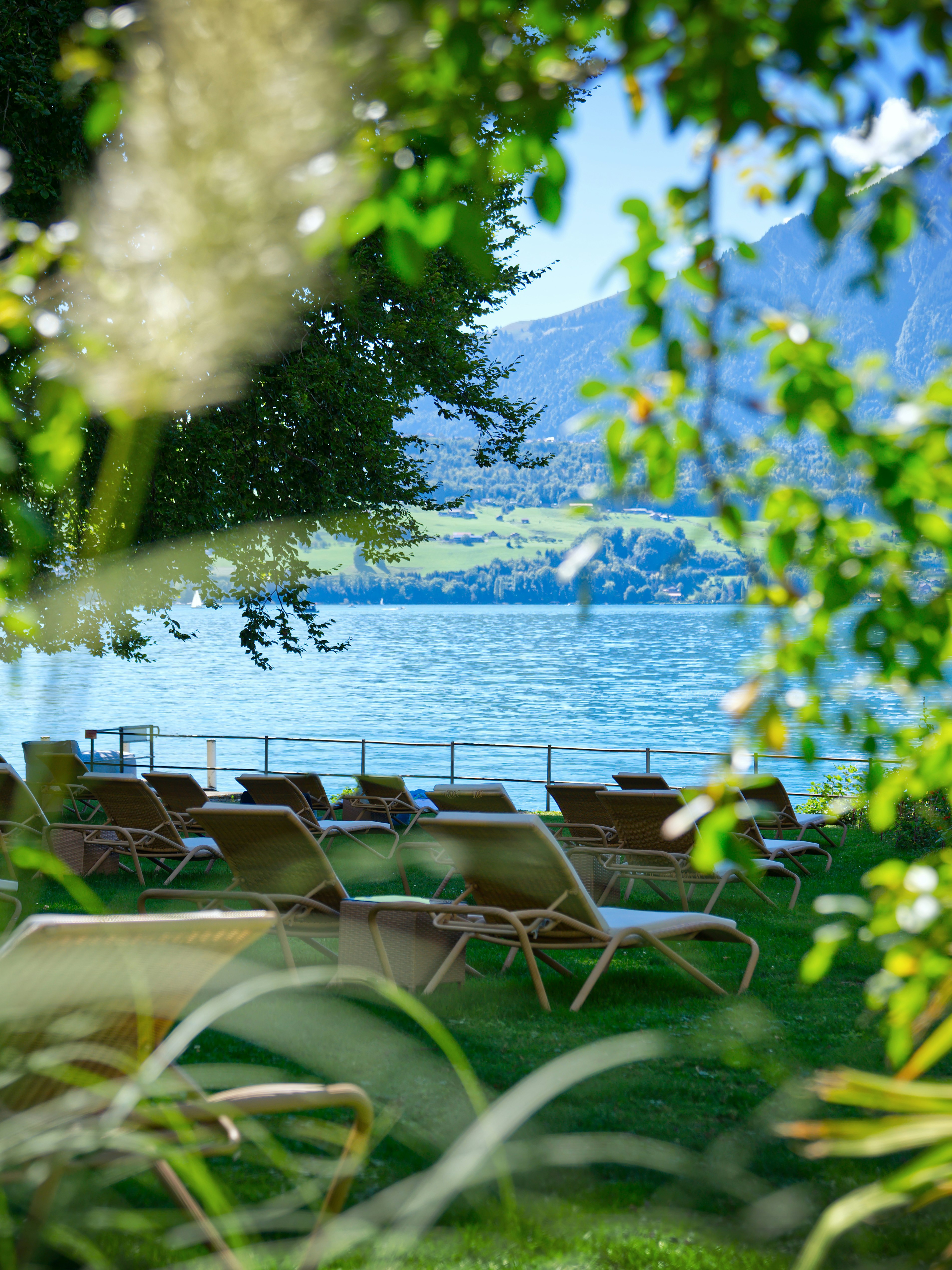 Parc de l'hôtel avec chaises longues Parc de l'hôtel avec chaises longues et arbustes