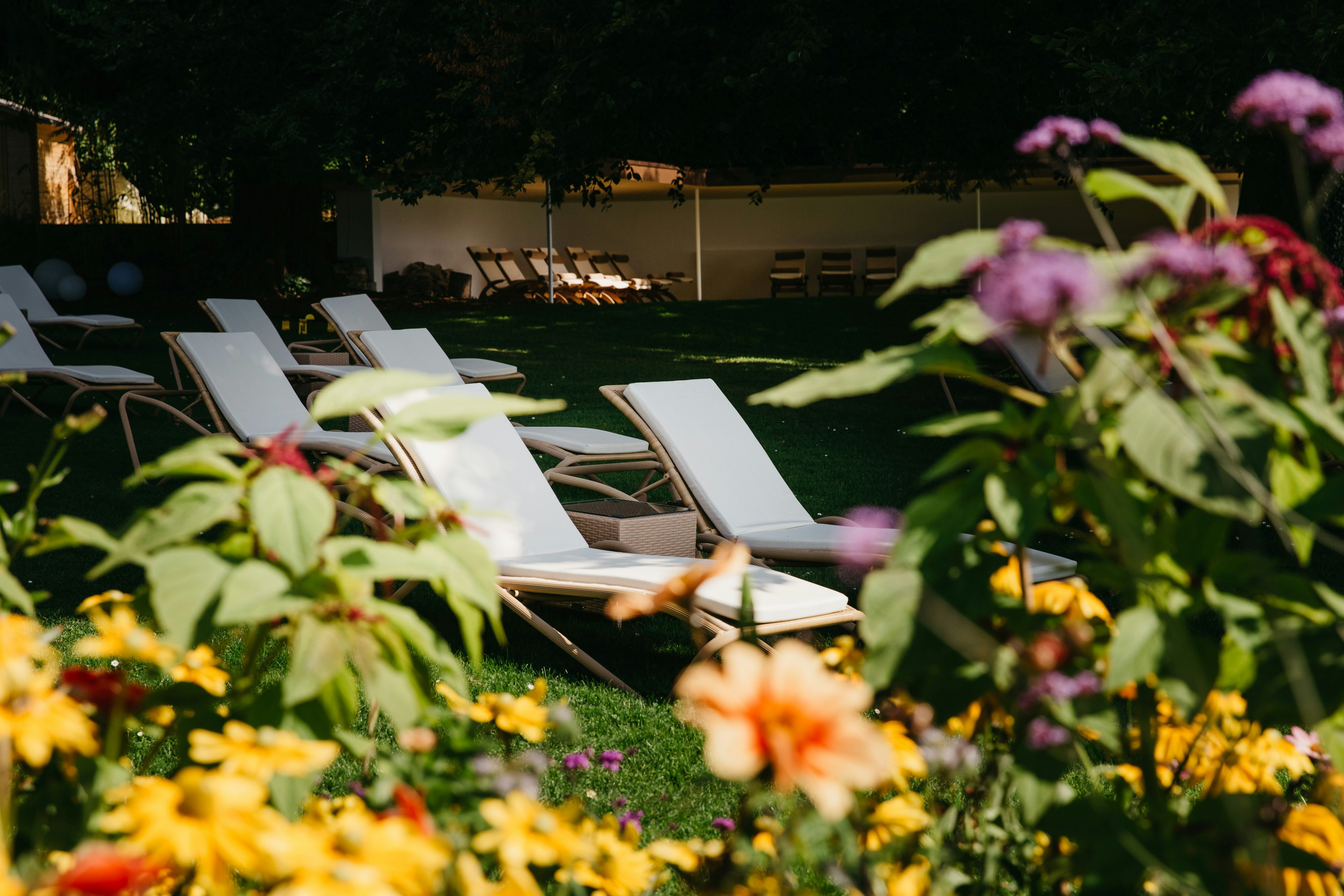 Liegen im Park mit Blumen