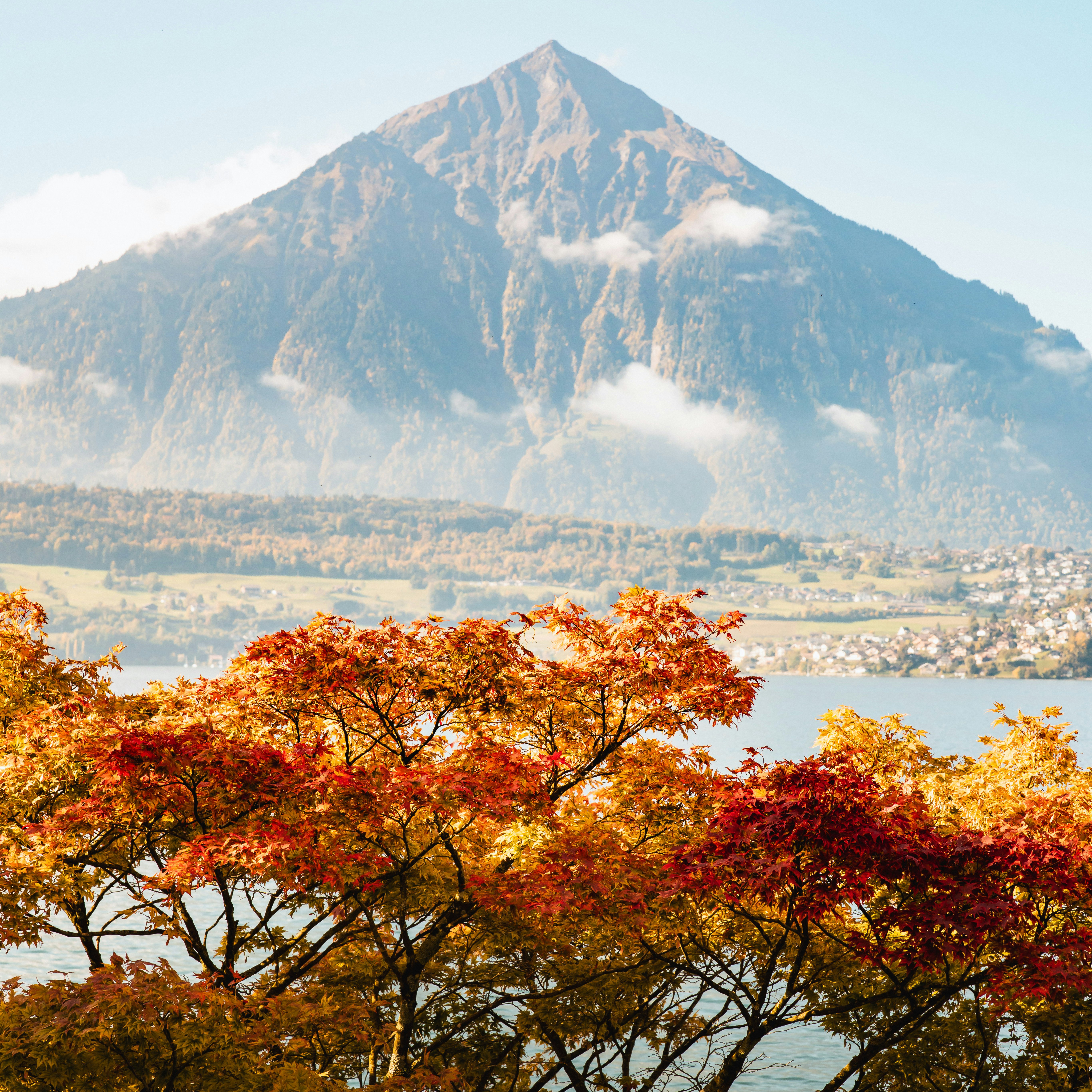 Blick auf Niesen im Herbst Farbige Laubbäume und Blick auf Berg Niesen beim BEATUS