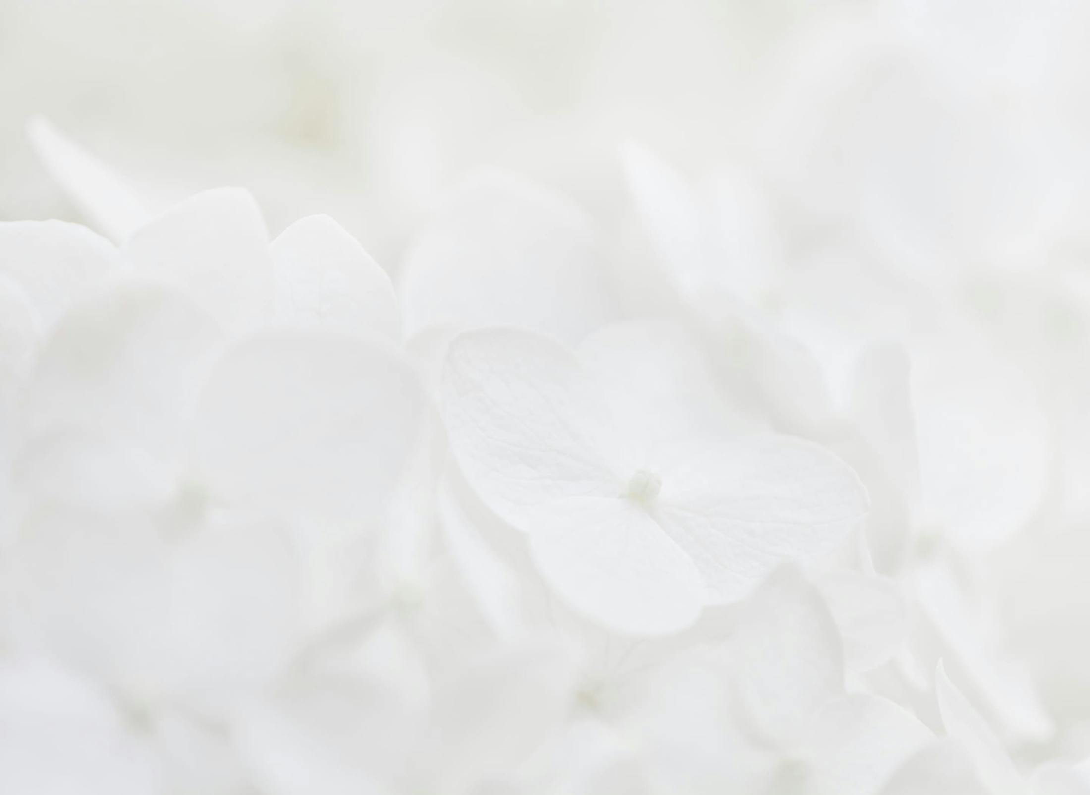 Background media