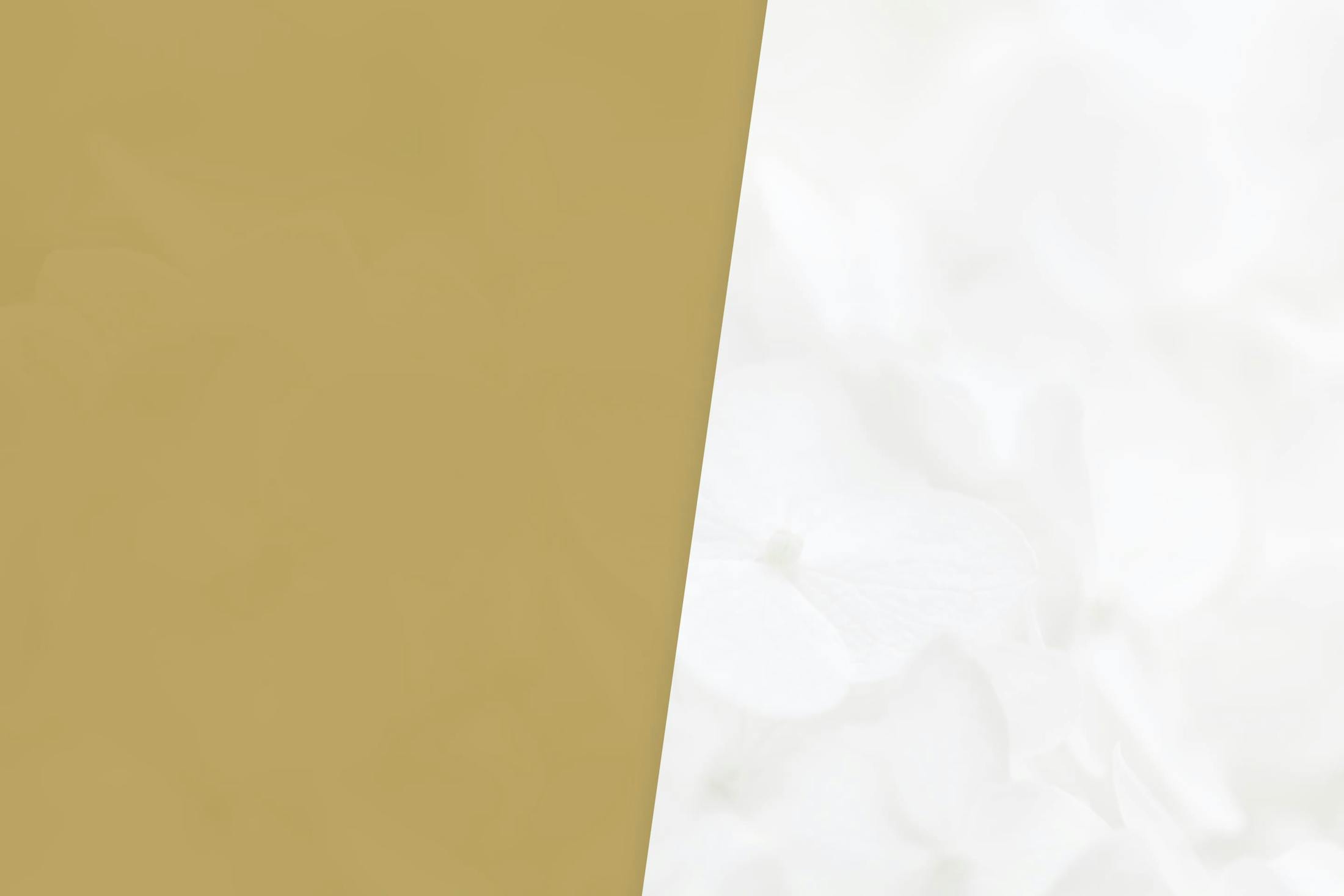 gold and marble image