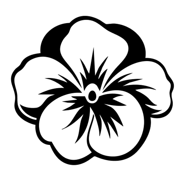 Toledo, Ohio, Plastic Surgery Practice, pēkomd® Cosmetic Surgery and Rejuvenation Center, Announces the Launch of a New State-Of-The-Art Website