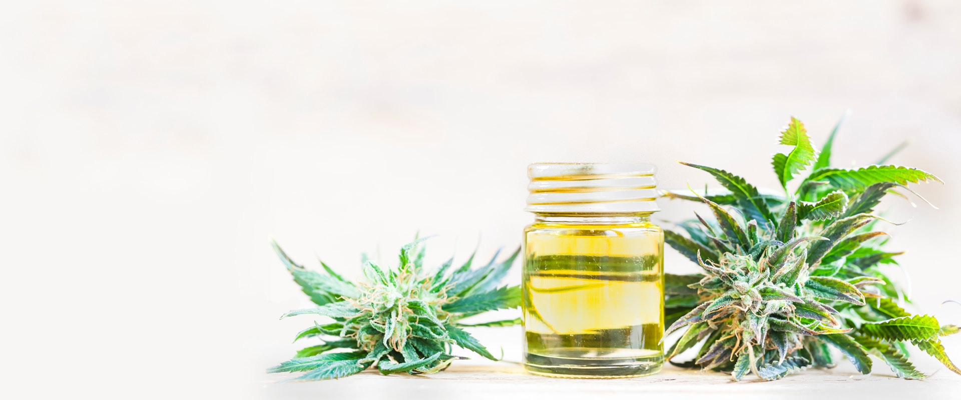 Marijuana buds laying next to a jar of CBD oil