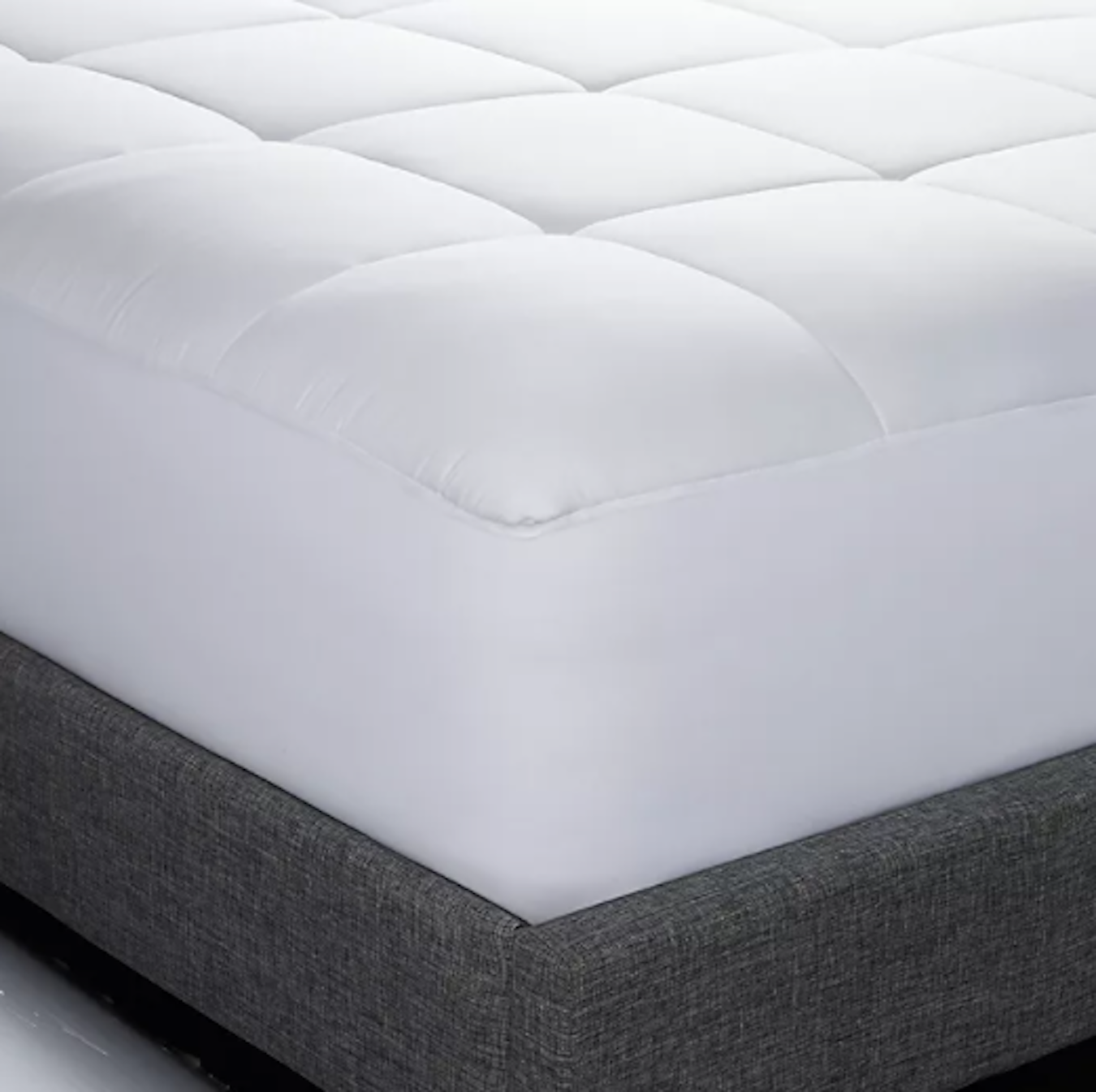 Therapedic Therapedic