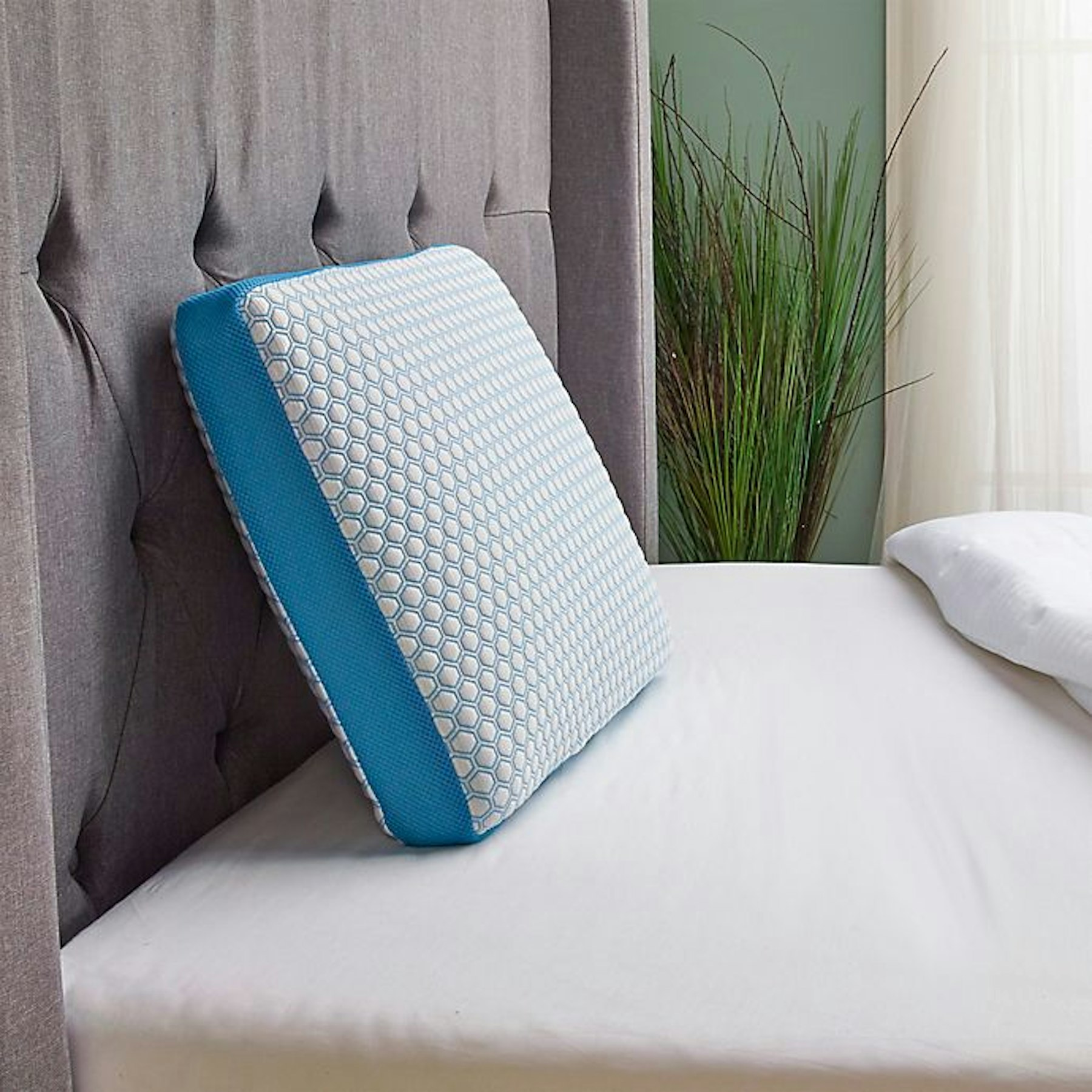 Therapedic Therapedic