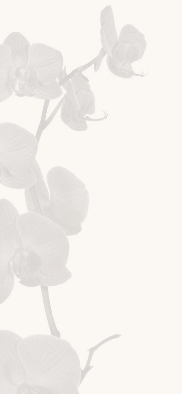orchid