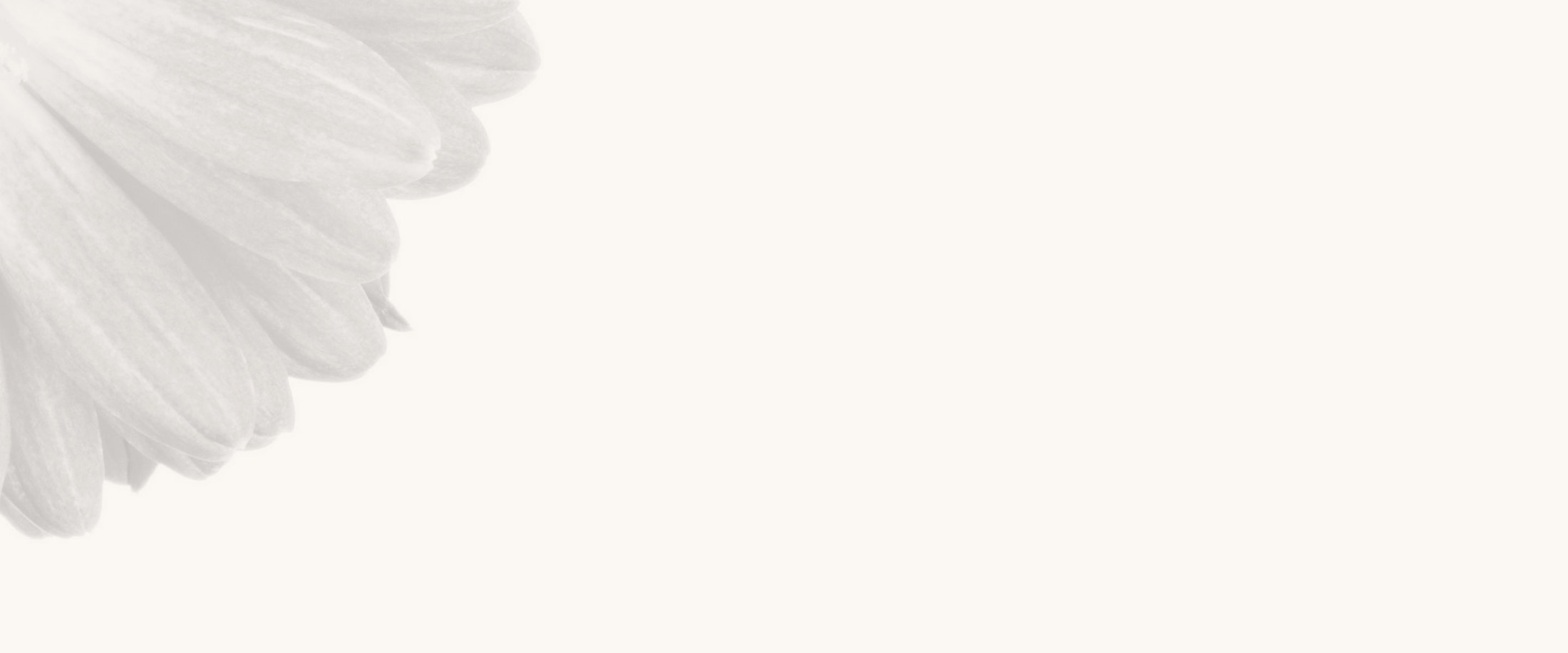 Banner media