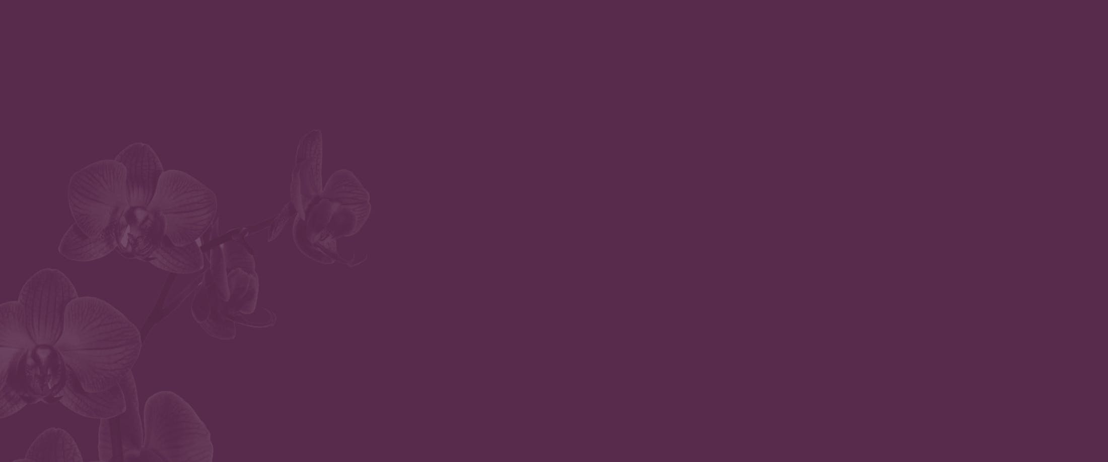 orchids with purple overlay