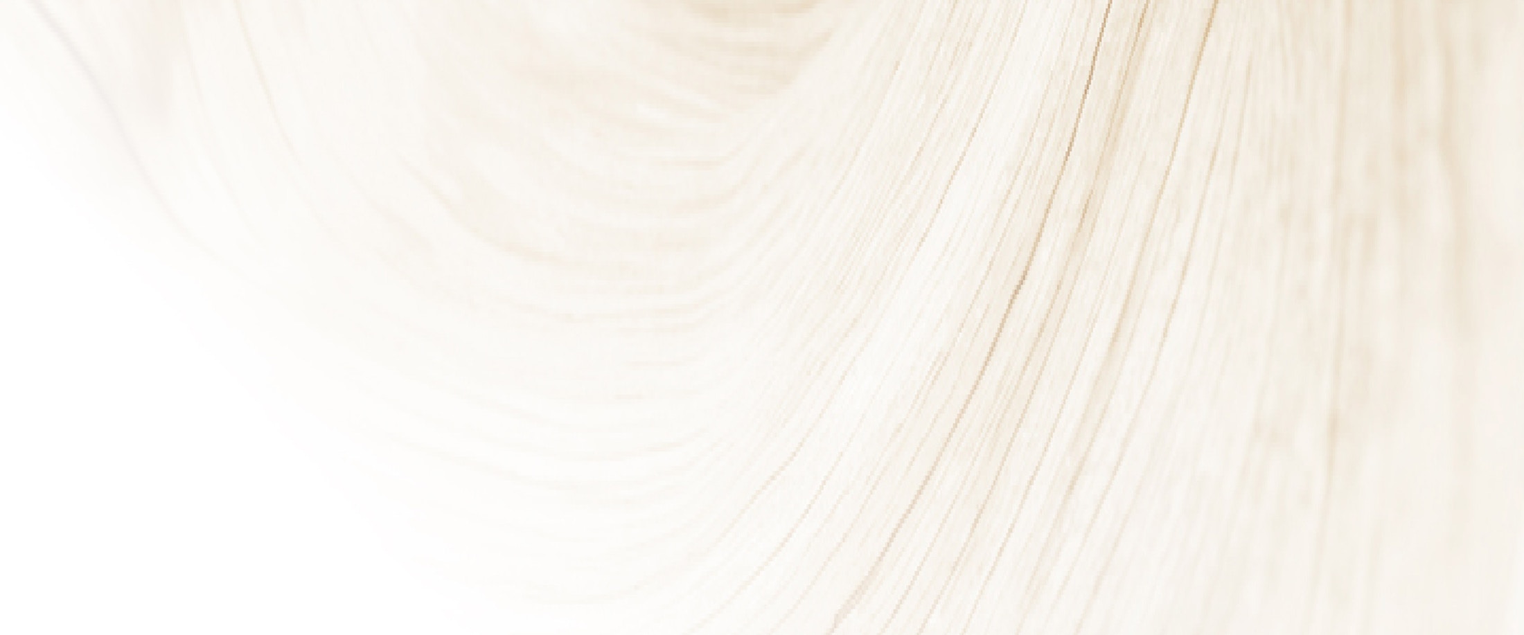 Banner media