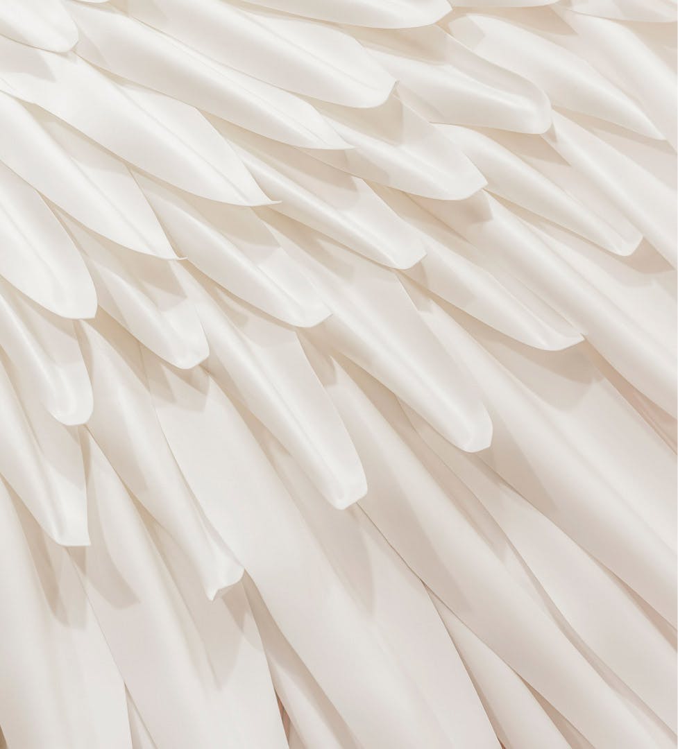 white feather-like design overlapping one another