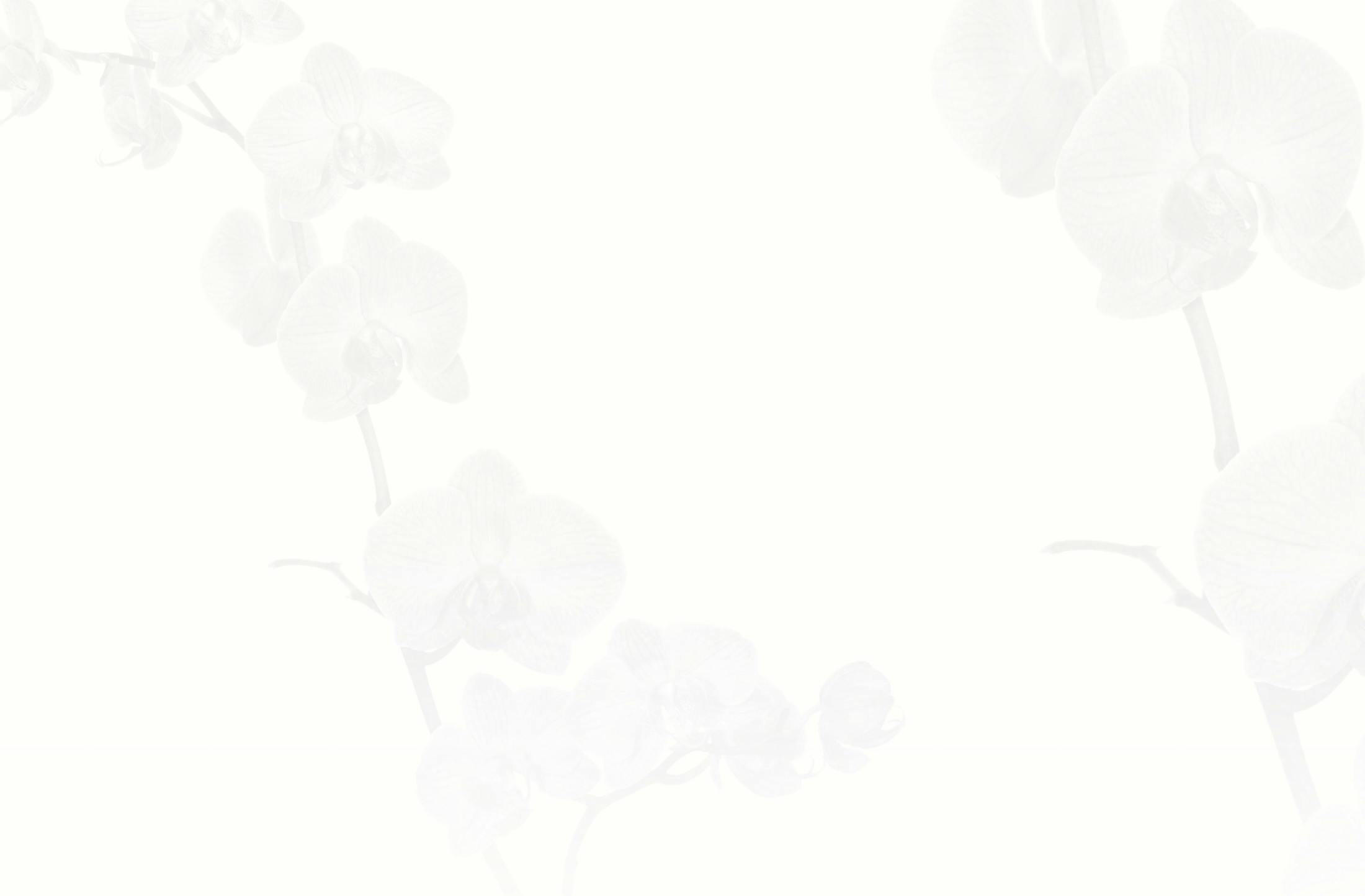 Background media