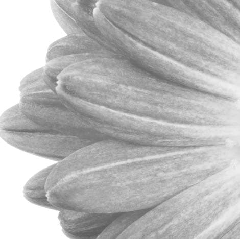 Floral design