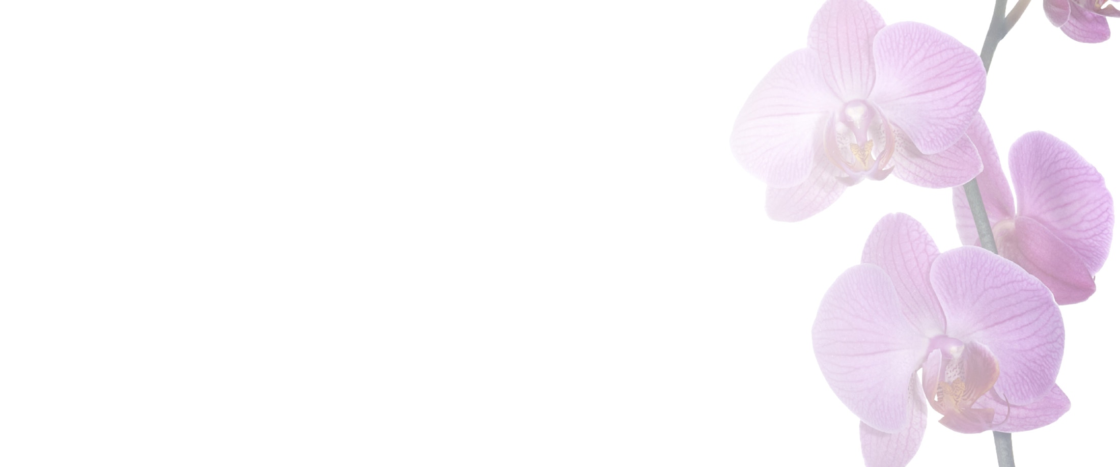 Banner media