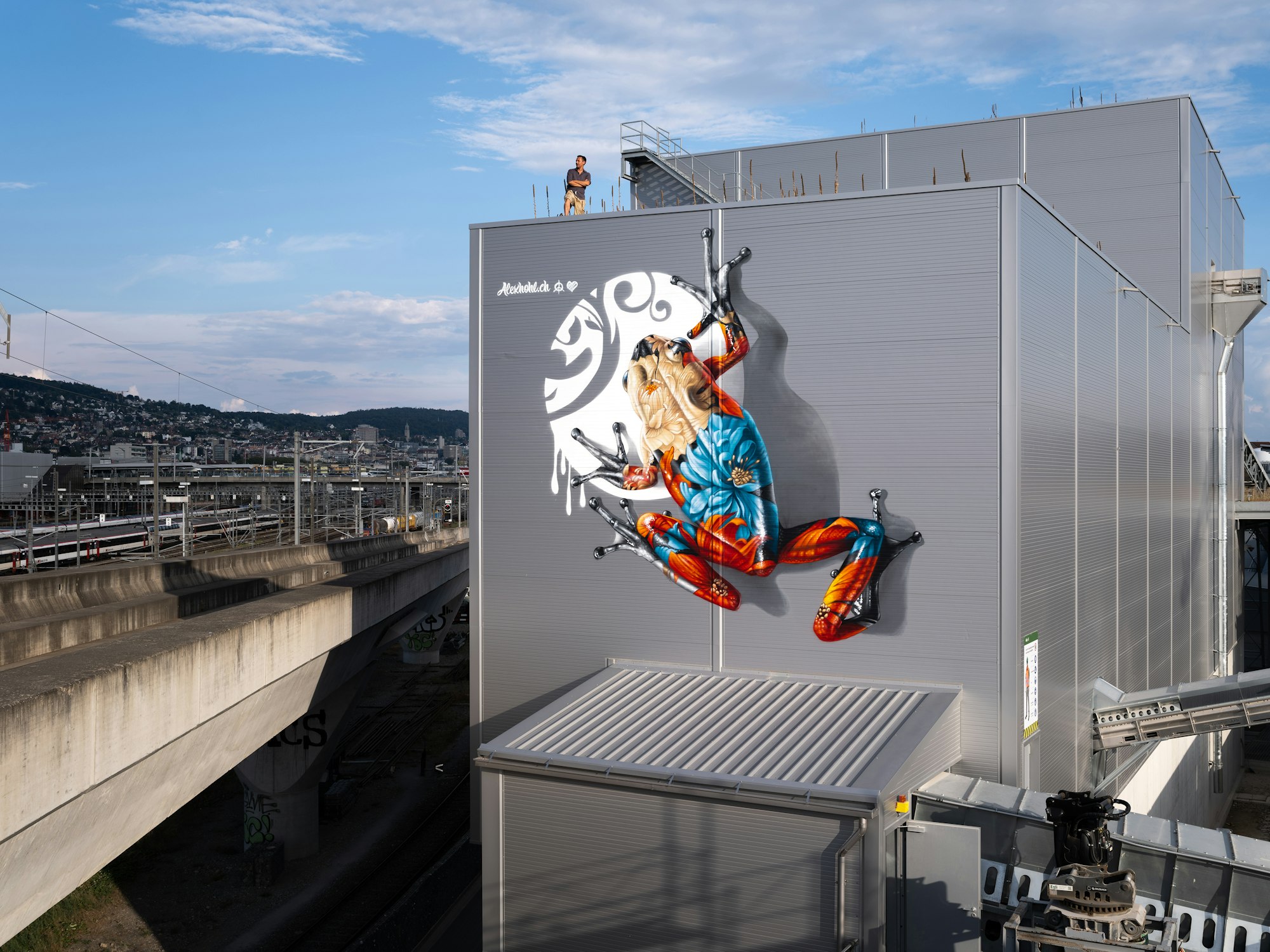 Ein helles Frosch-Wandbild bedeckt ein graues Industriegebäude; eine Person steht auf dem Dach. Dahinter sind Stadtlandschaft und Bahngleise zu sehen.