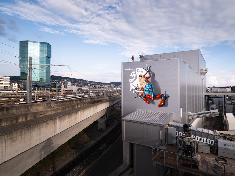 Ein lebhaftes Frosch-Wandbild ziert ein graues, modernes Gebäude an den Bahngleisen, mit einem blauen Glas-Wolkenkratzer und einem wolkenverhangenen Himmel dahinter.
