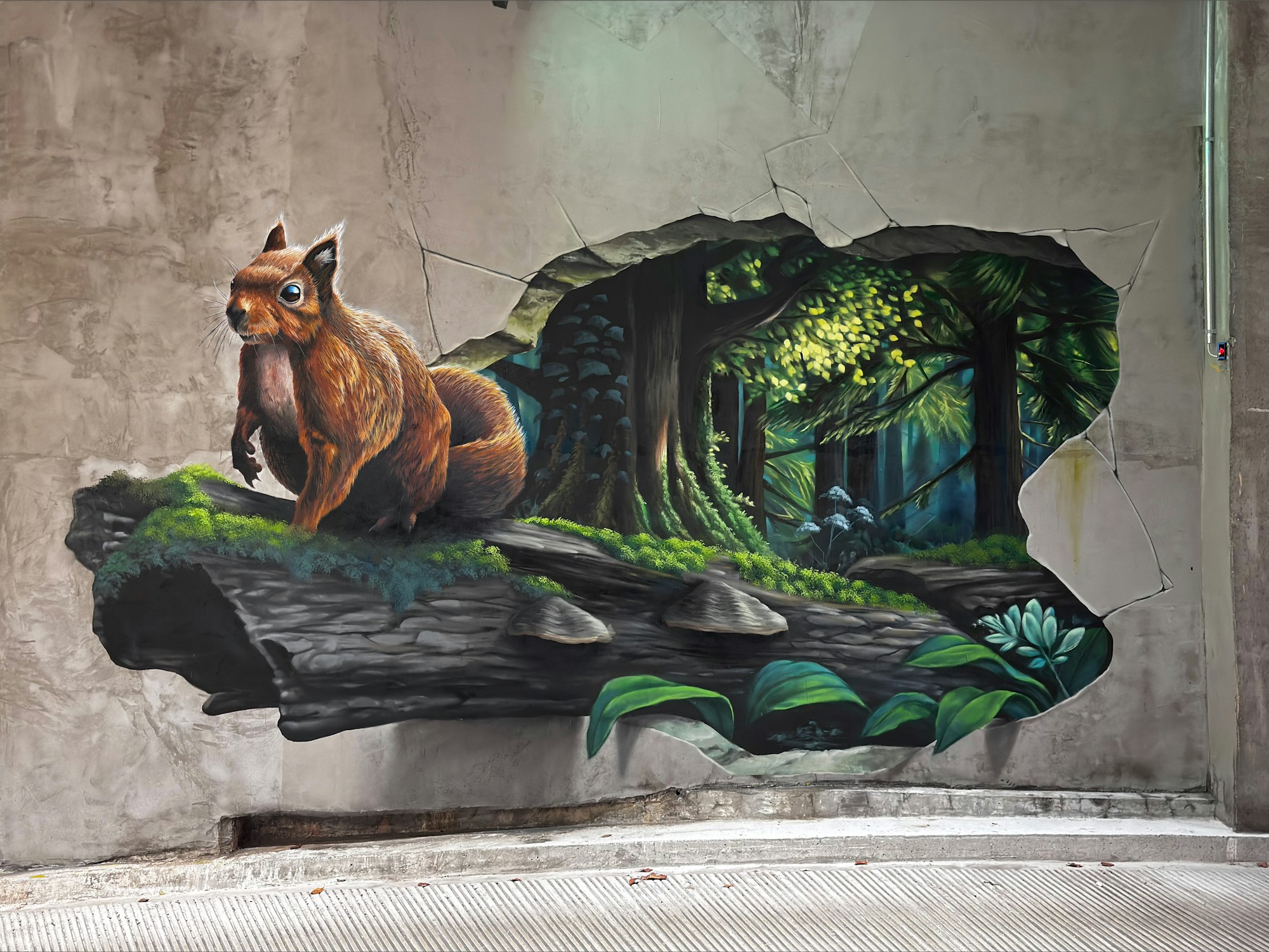 Ein Wandgemälde an einer Betonwand zeigt ein rotes Eichhörnchen auf einem Baumstamm und dahinter einen Wald, der so gemalt ist, als sei die Wand aufgebrochen.