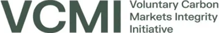 VCMI Logo