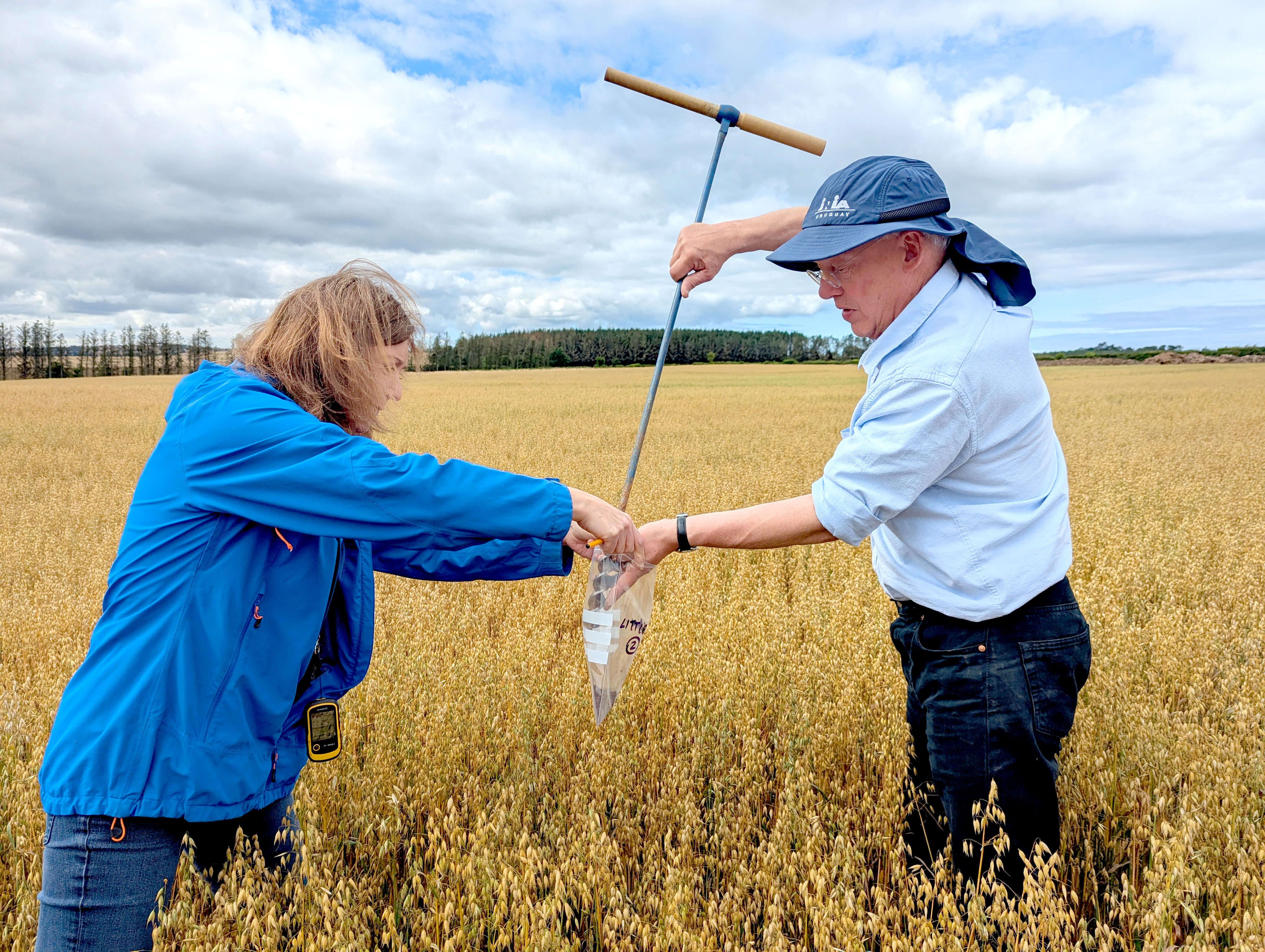 Professors collecting soil samples