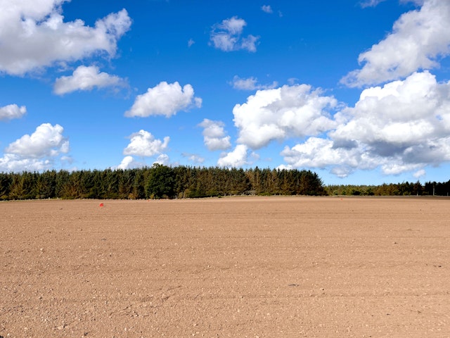 Project site