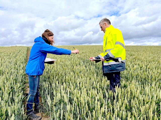 Field team