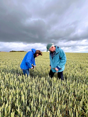 Scientists at work